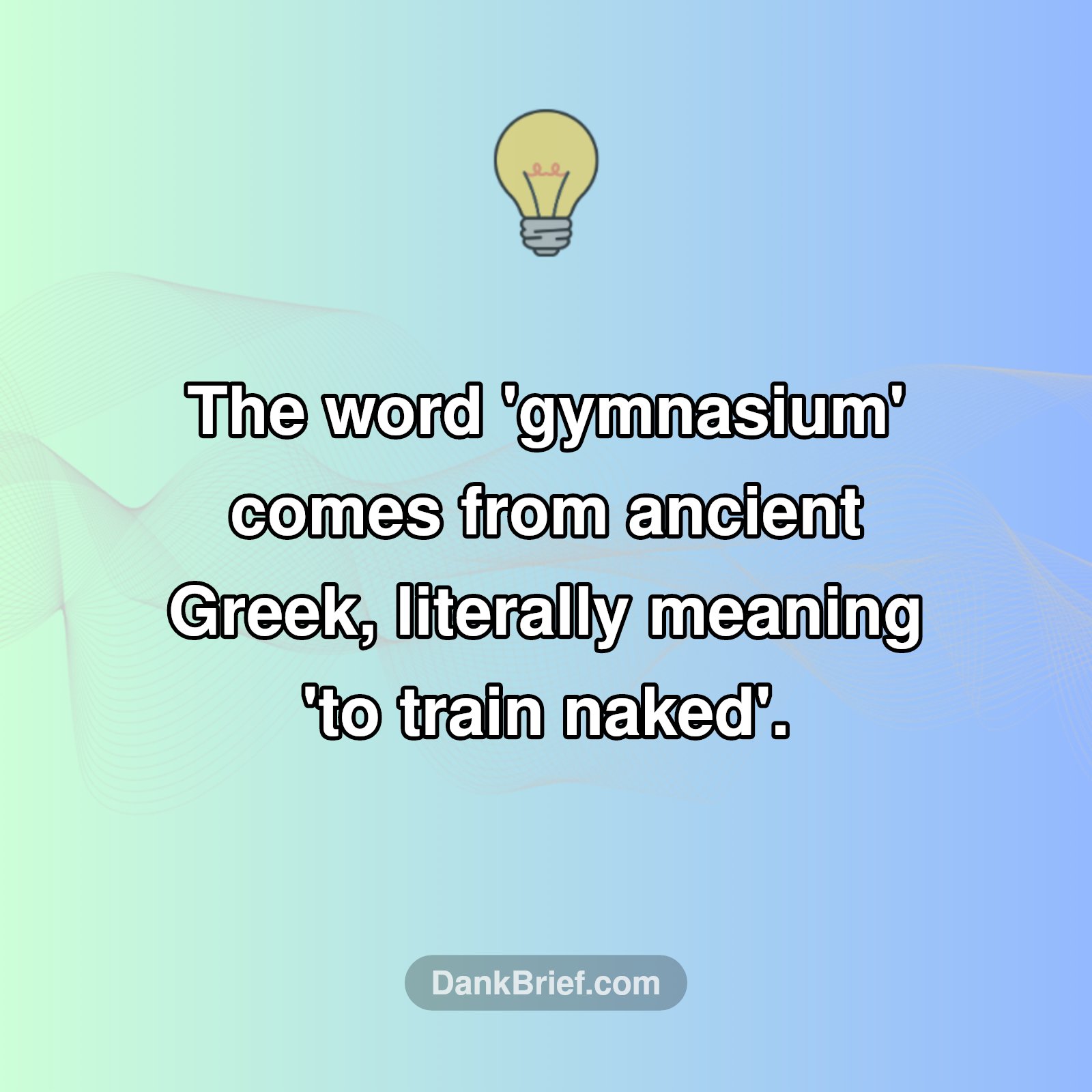 Your Gym's NAKED Origin Story! 🤯