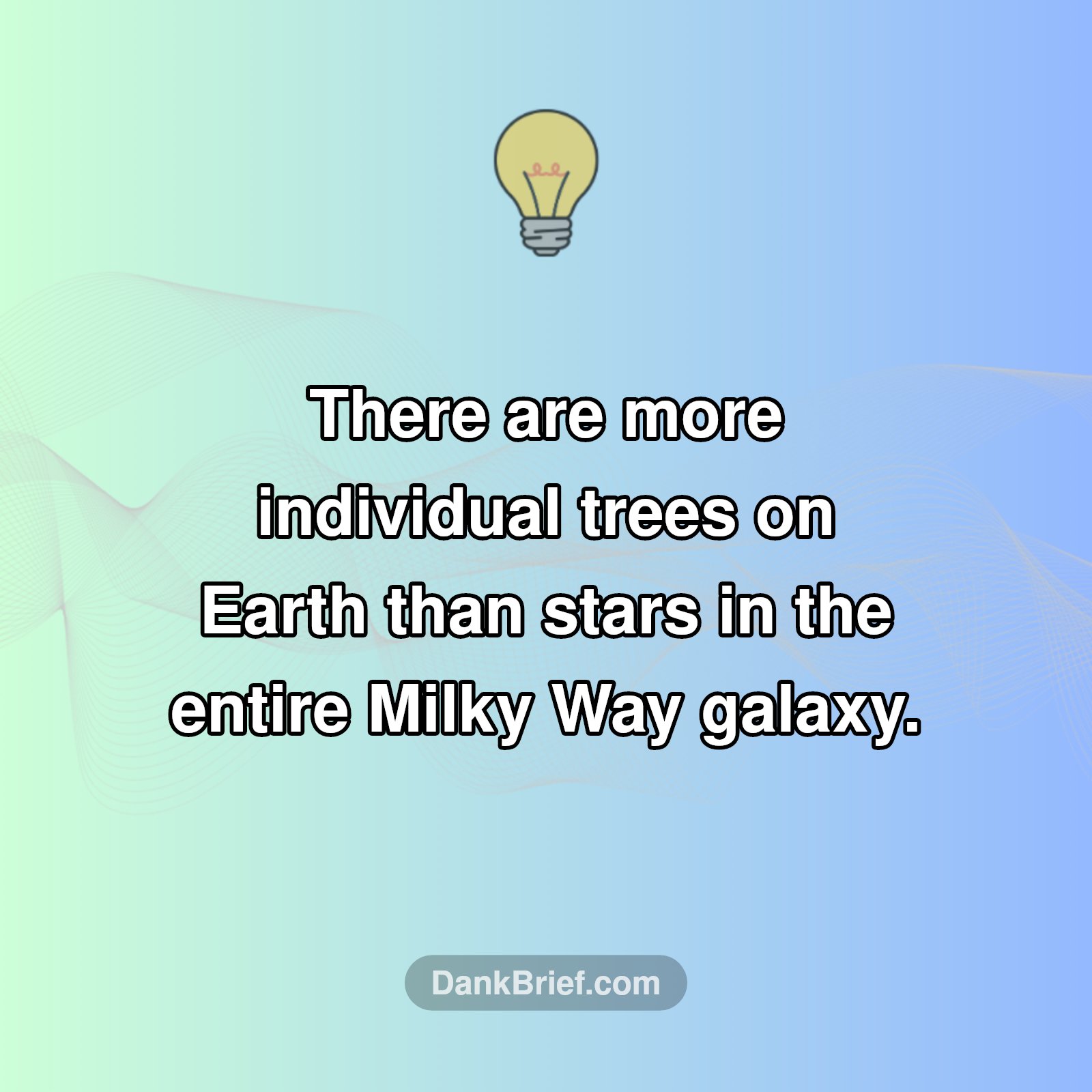 Mind Blown: Trees > Stars?!
