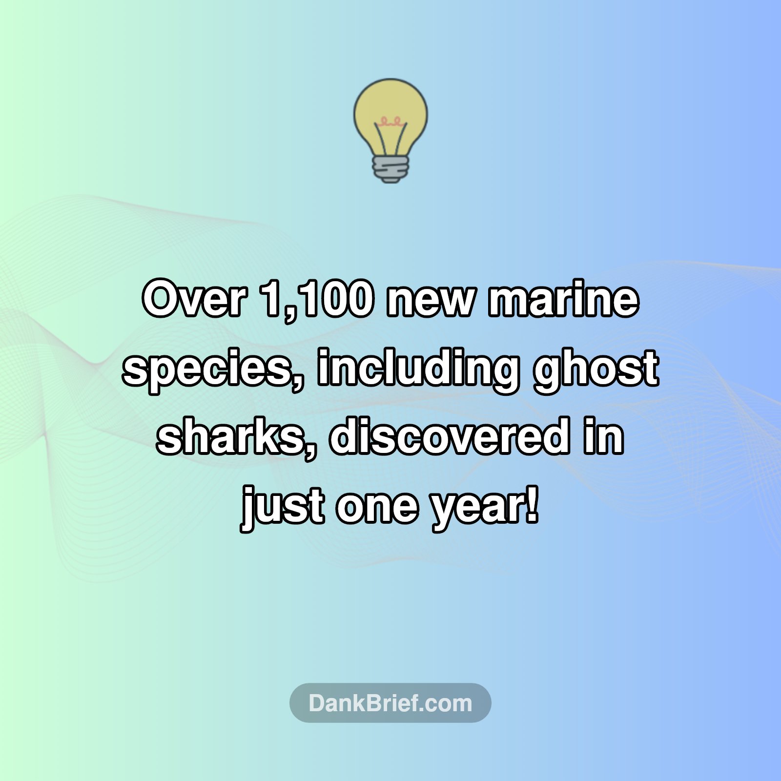 Deep-Sea Wonders: Over 1,100 New Species!
