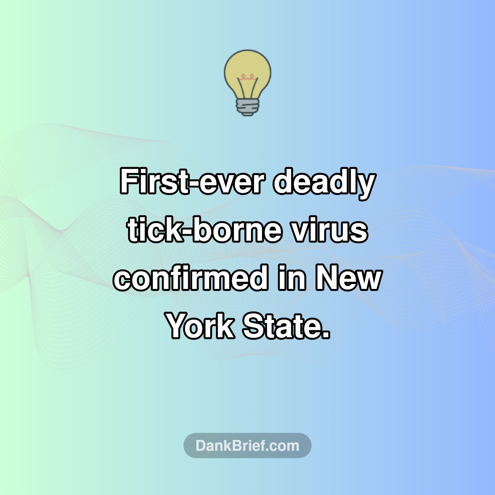 New York's Latest Health Alert!