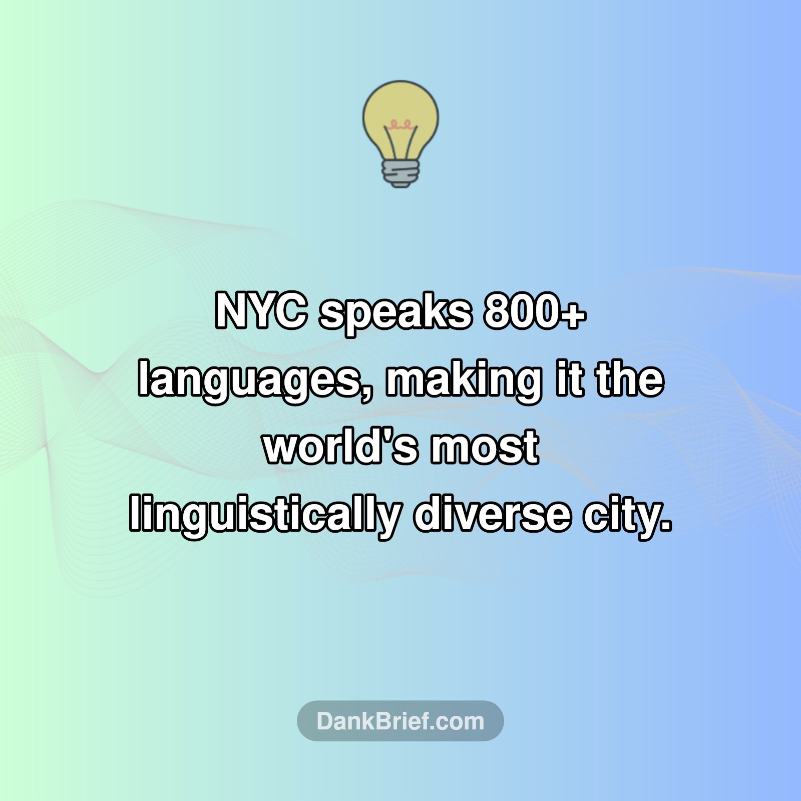 NYC's Linguistic Marvel