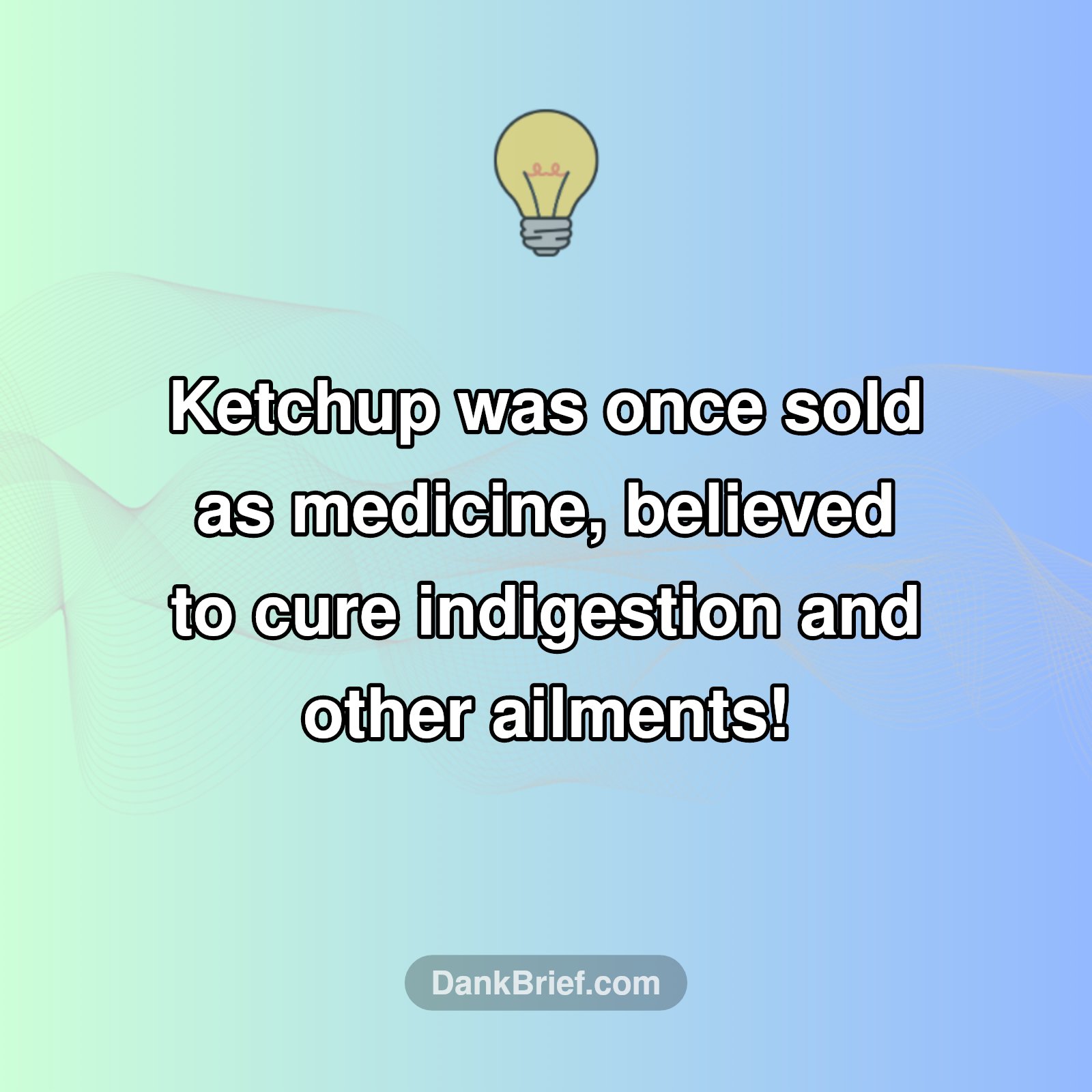 Ketchup's Wild Origin Story