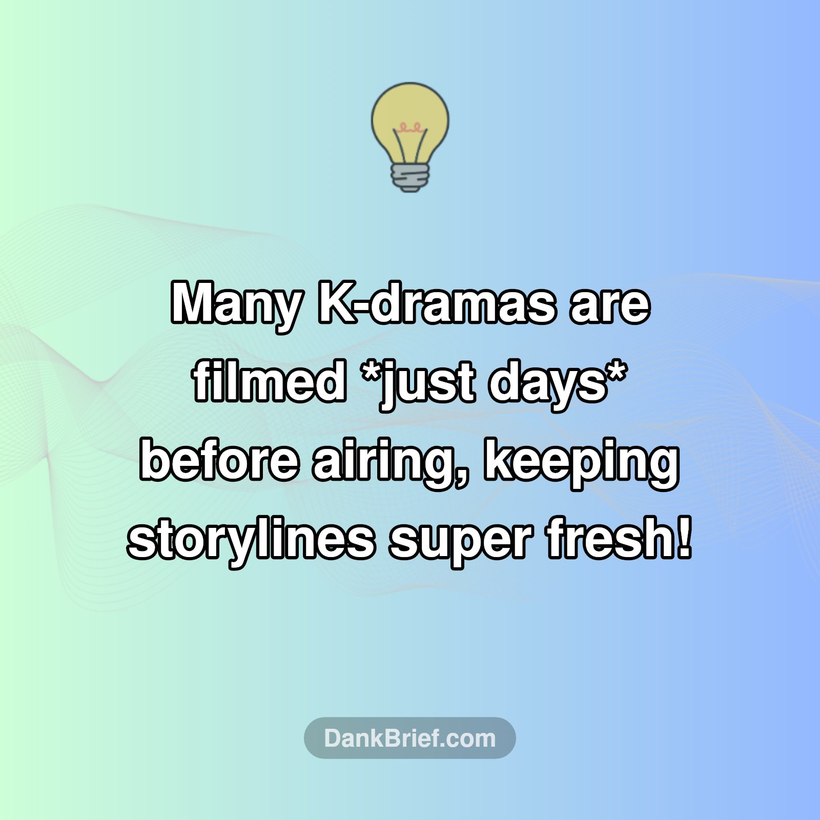 The WILD K-Drama Production Schedule!