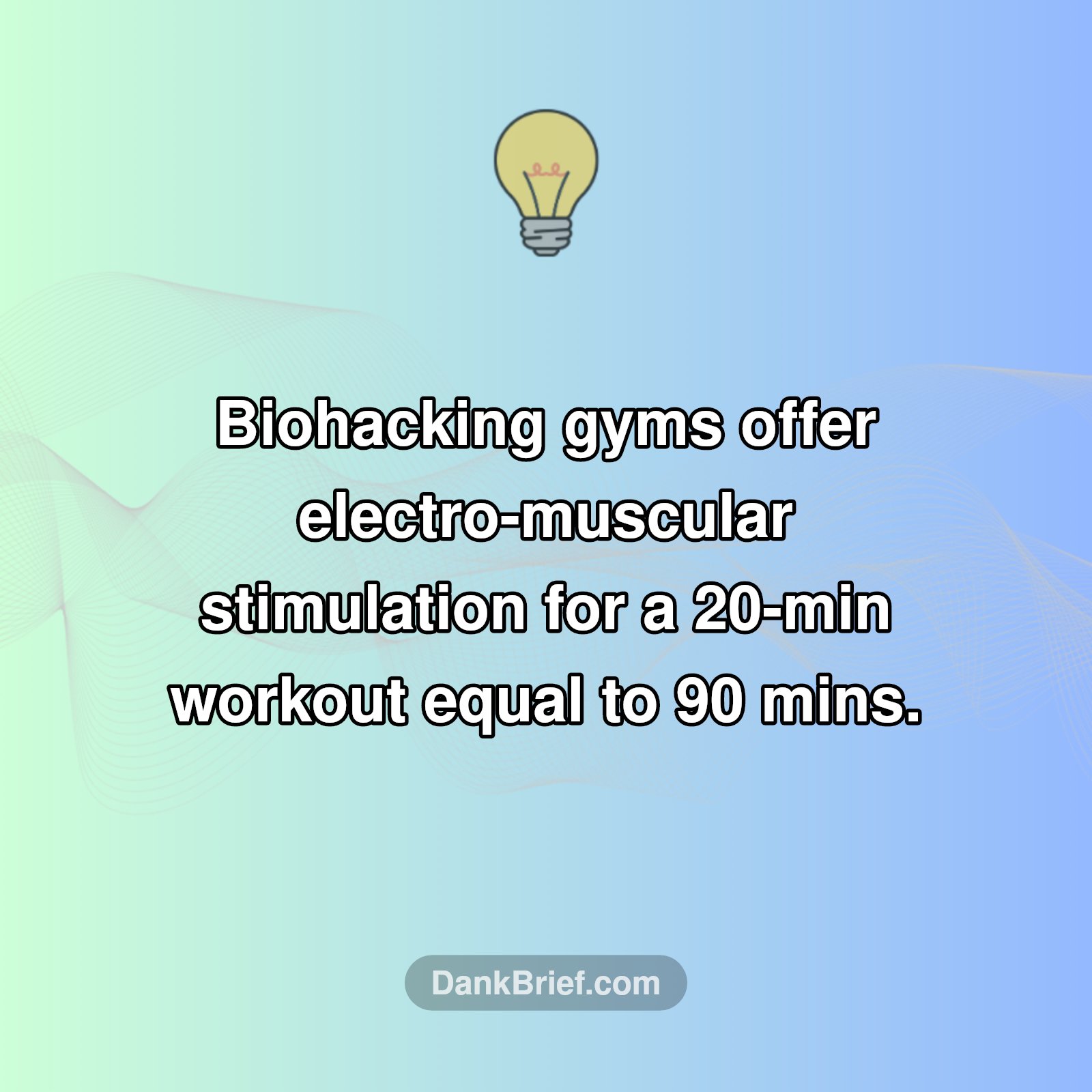 The Future of Fitness is Wild