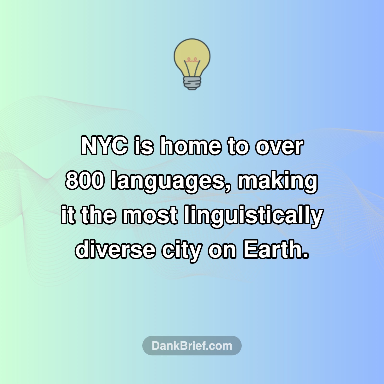 NYC: The ULTIMATE Language Hub?