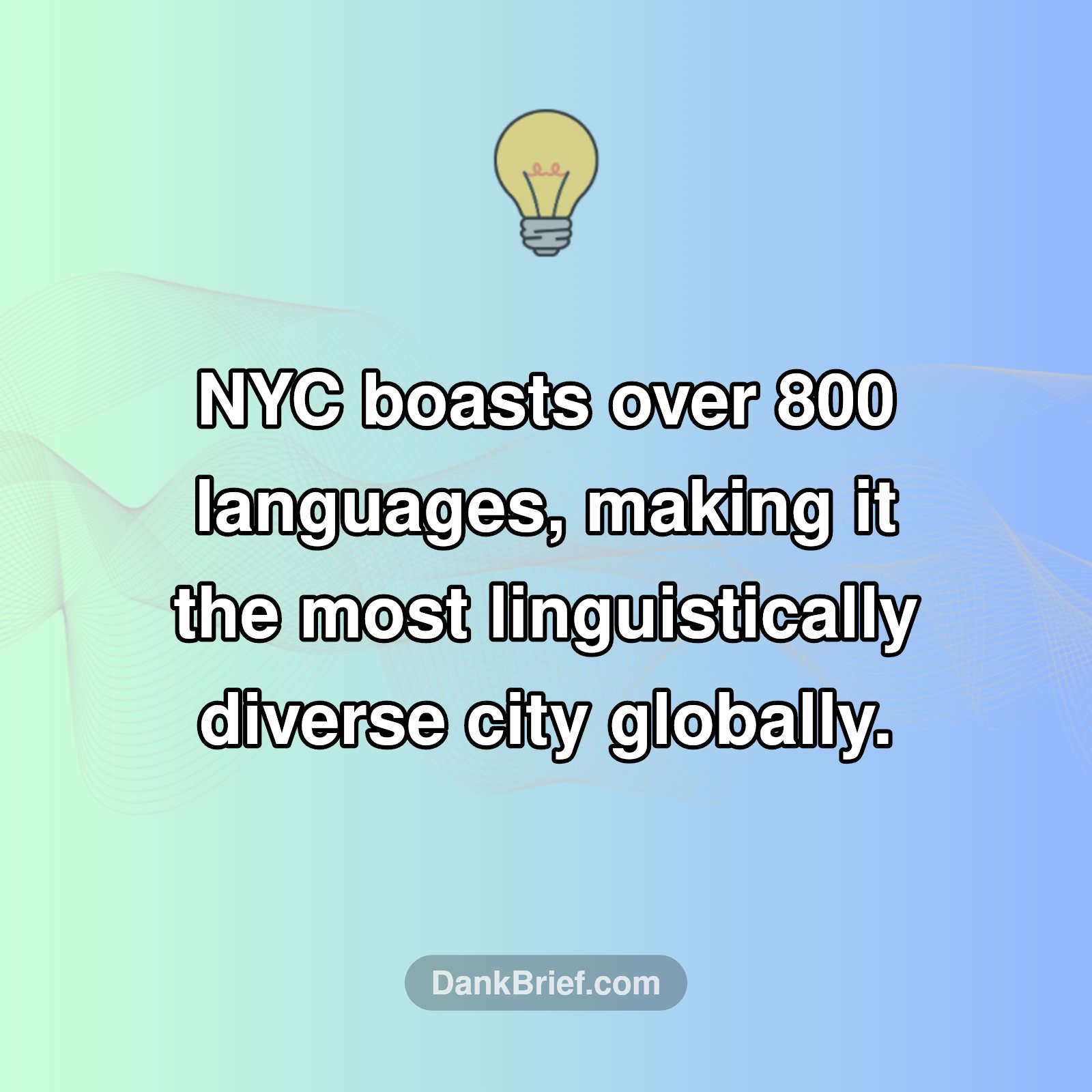 Mind Blown: NYC's Language Secret!