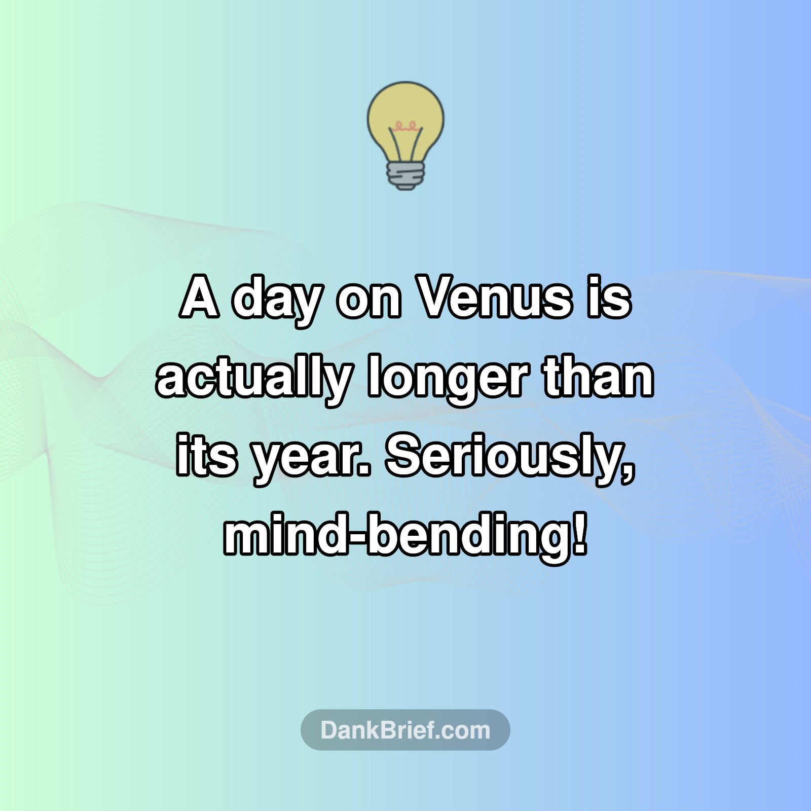 Mind Blown: Venus Time Warp!