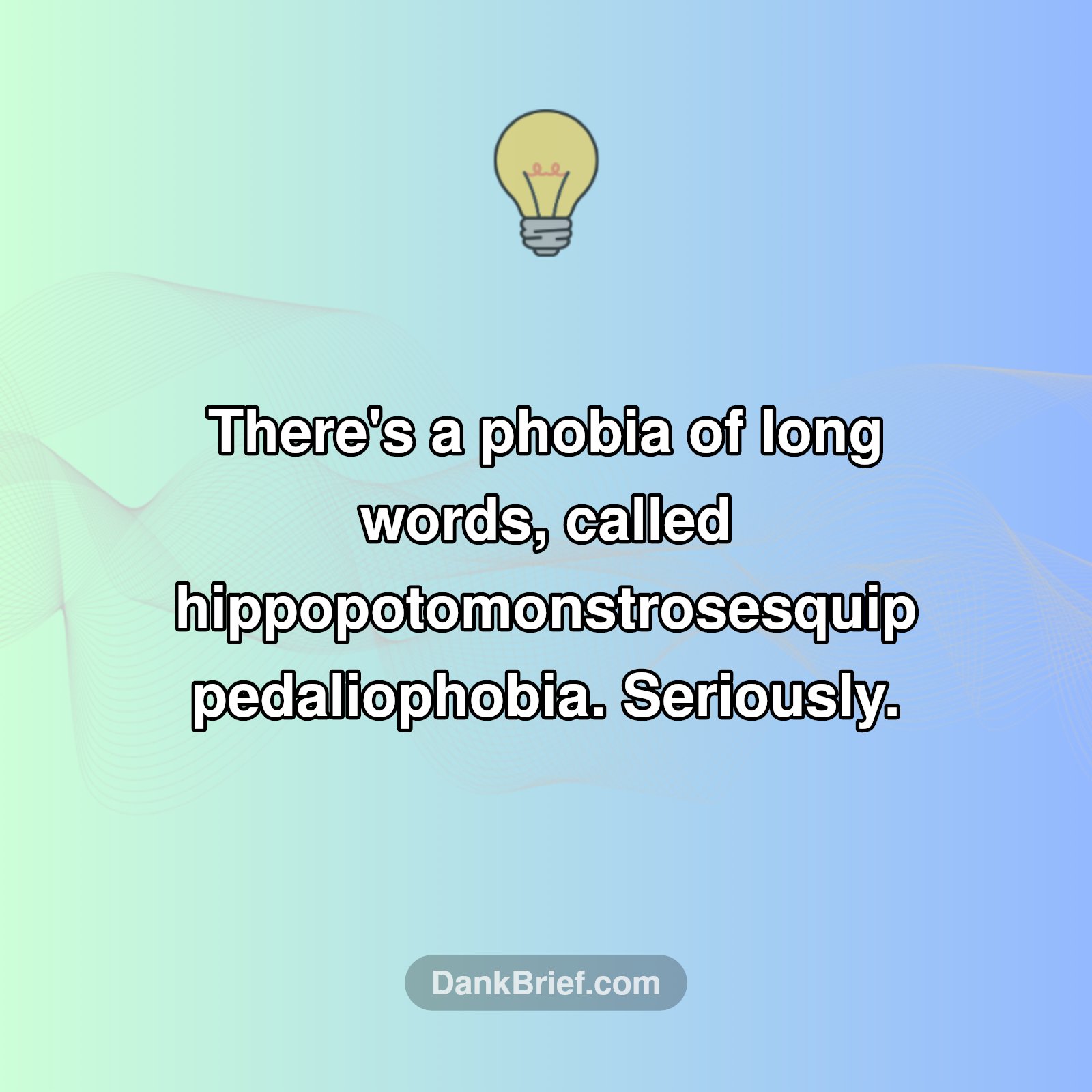 The Irony Is Real!