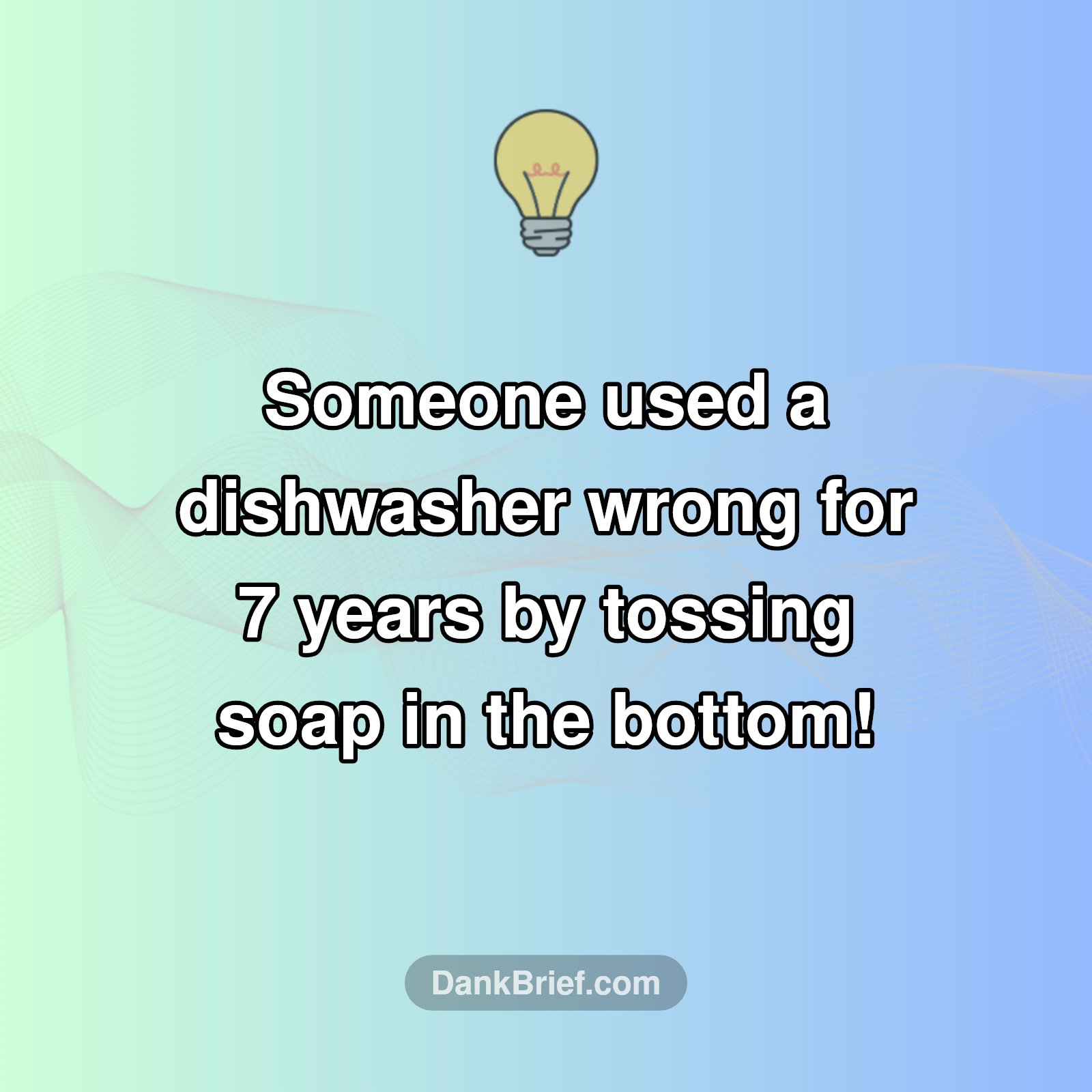Dishwasher Drama!