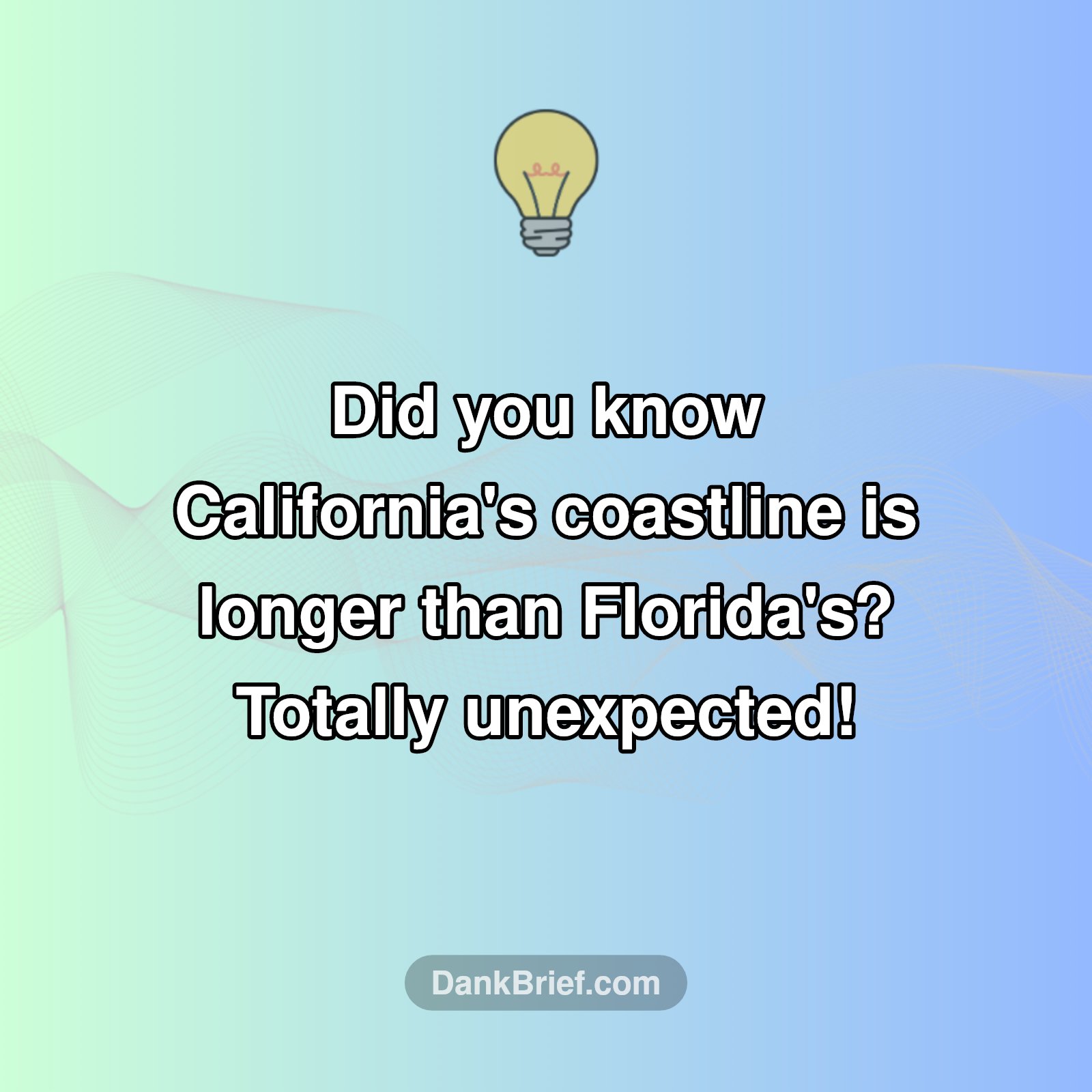 Coastline Mind-Blower!