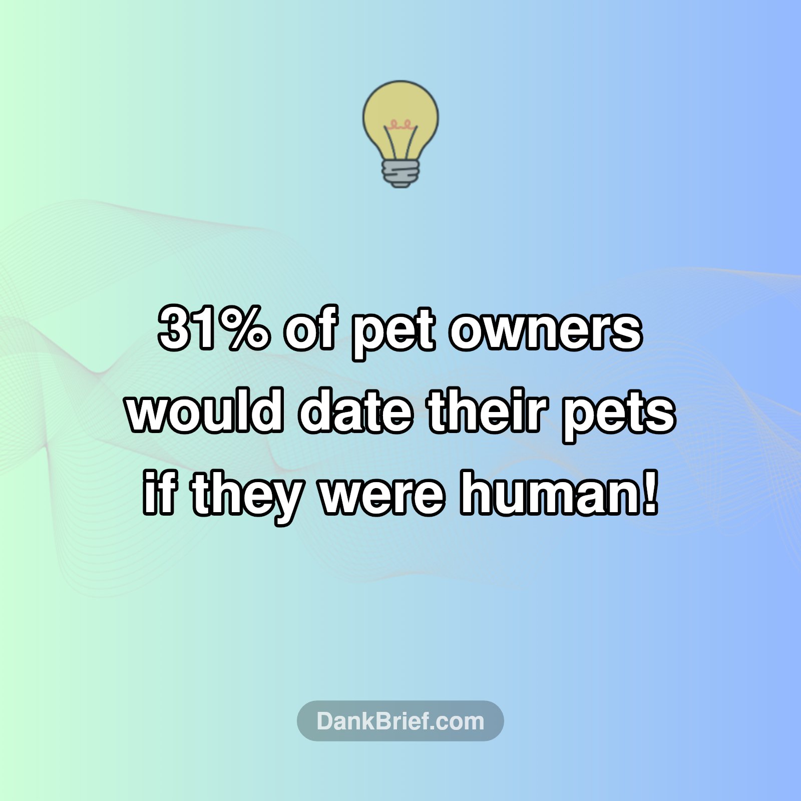 Your Pet, Your Date?