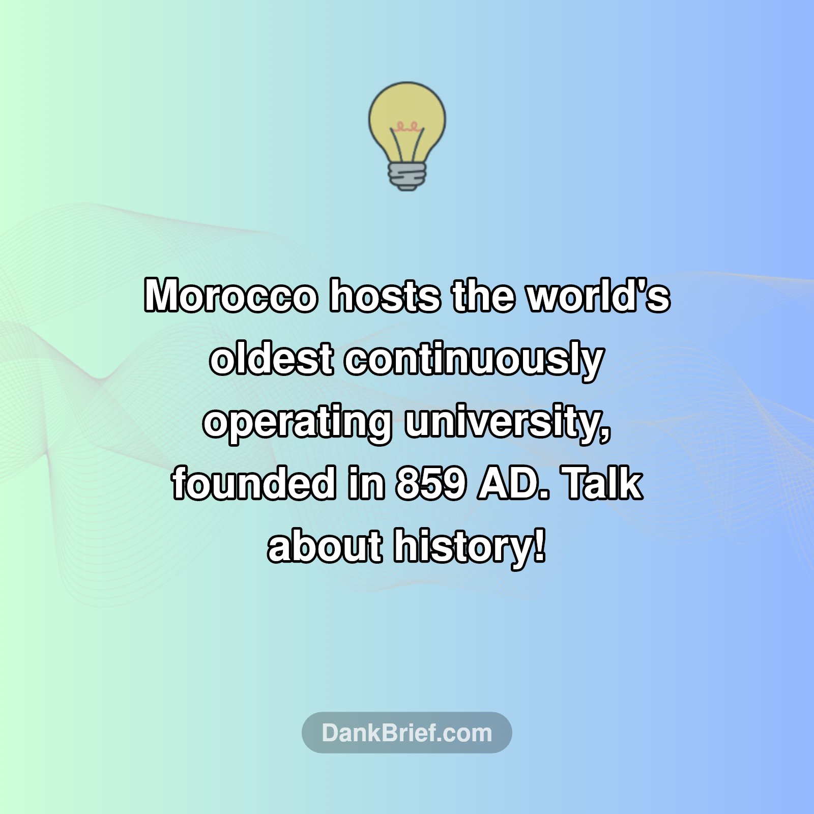 Mind Blown: Morocco's Ancient Knowledge Hub