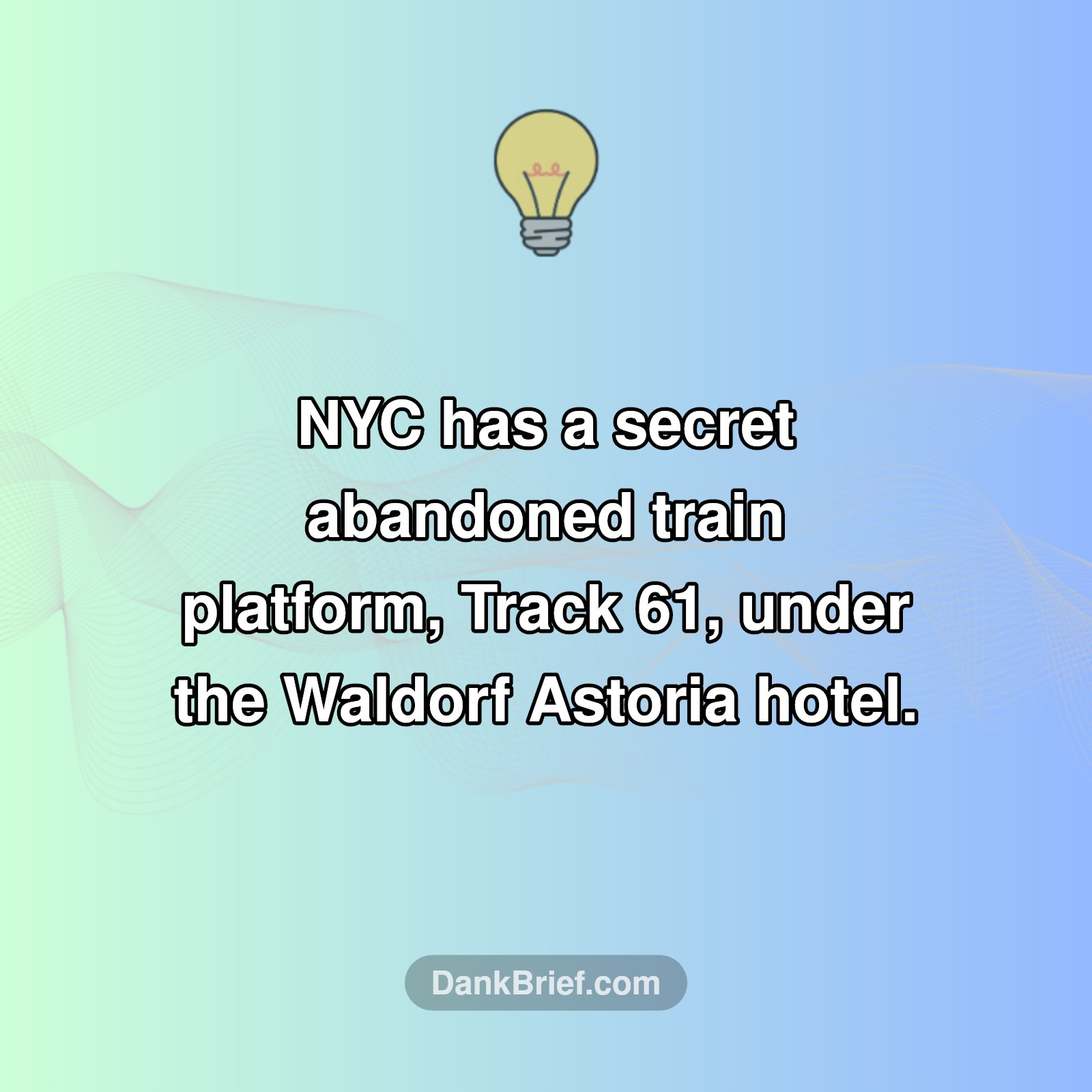 NYC's Secret Underworld!