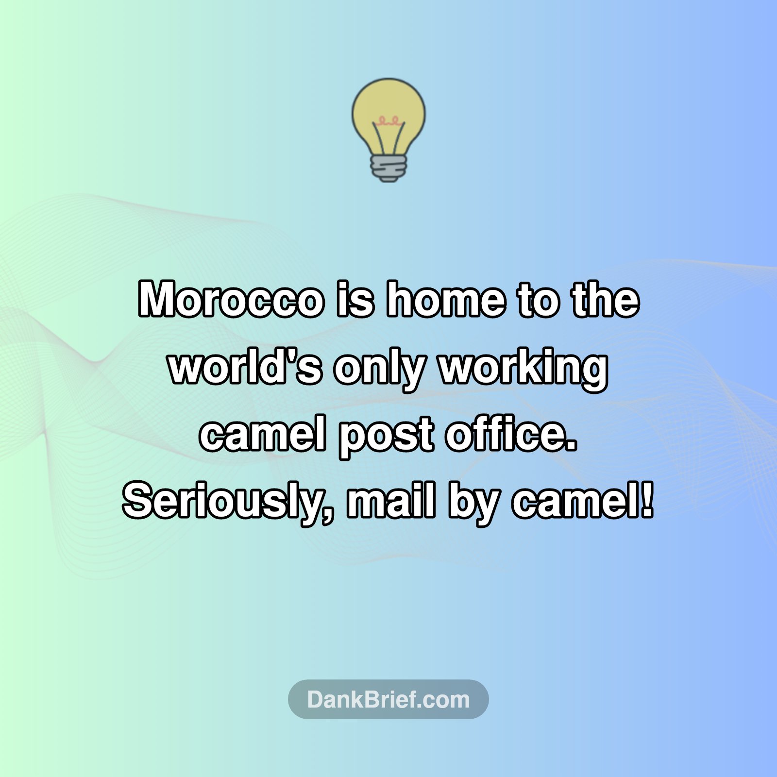 WTF?! Morocco's Wild Post Office!