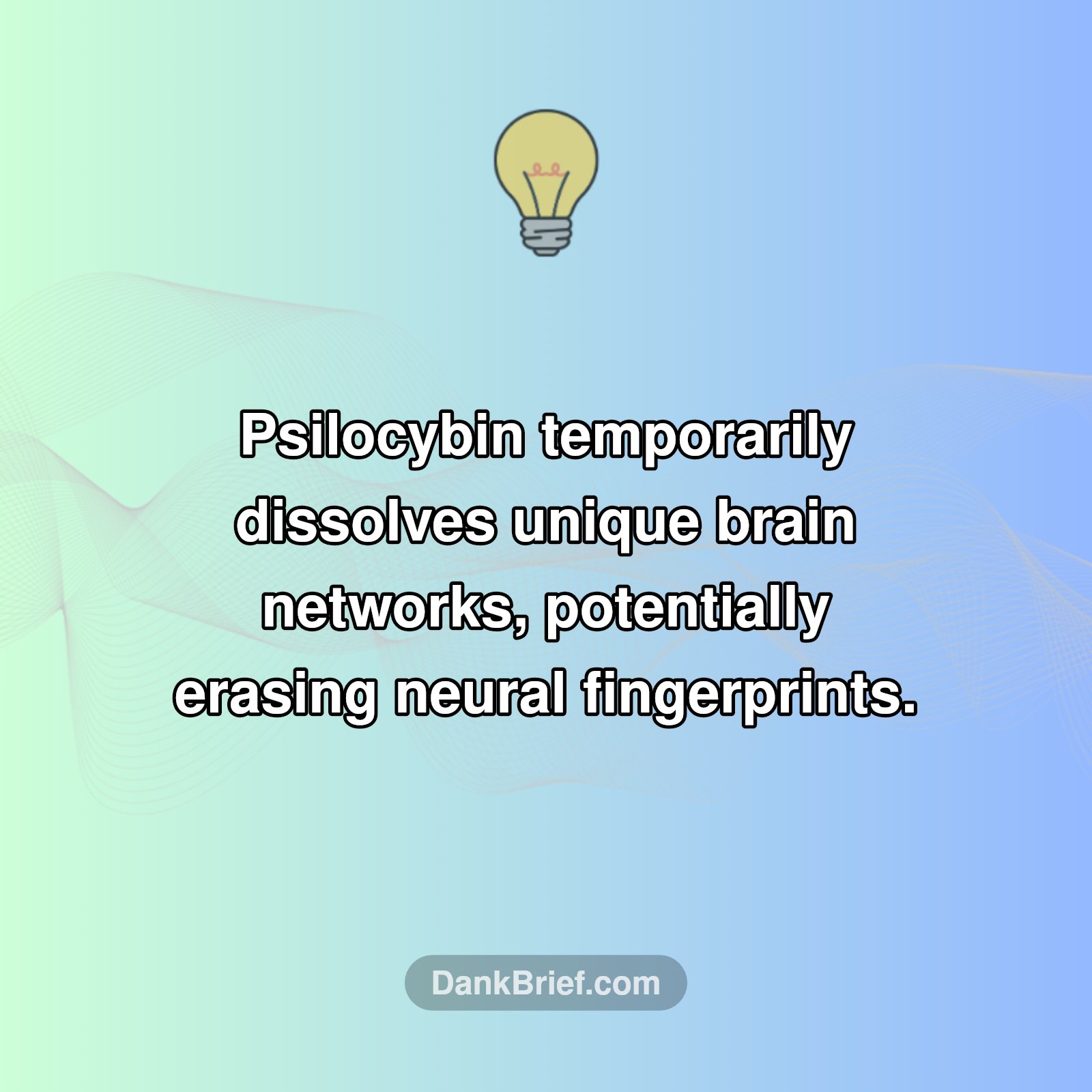 Brain Mysteries Unlocked