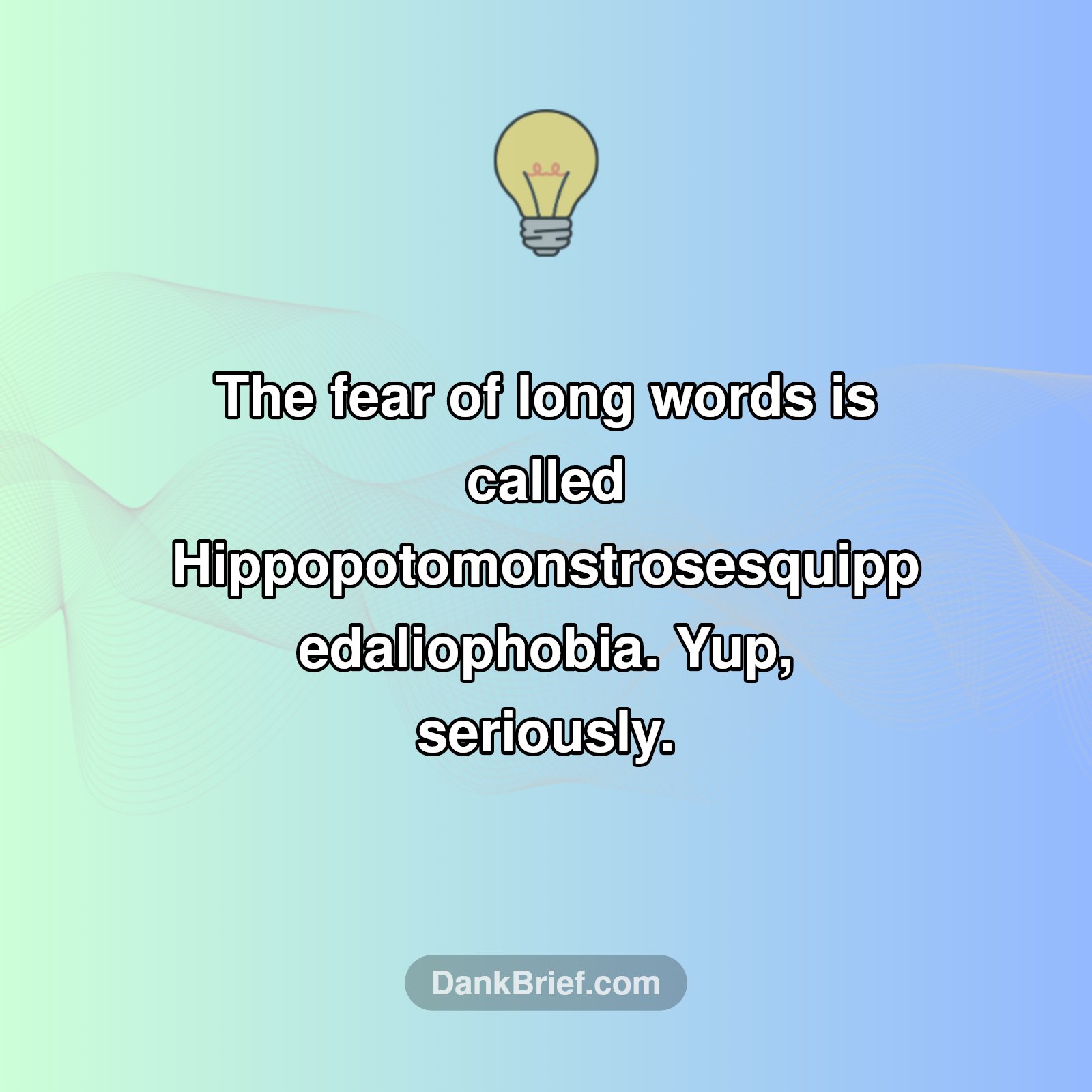 The Most Ironic Phobia EVER!
