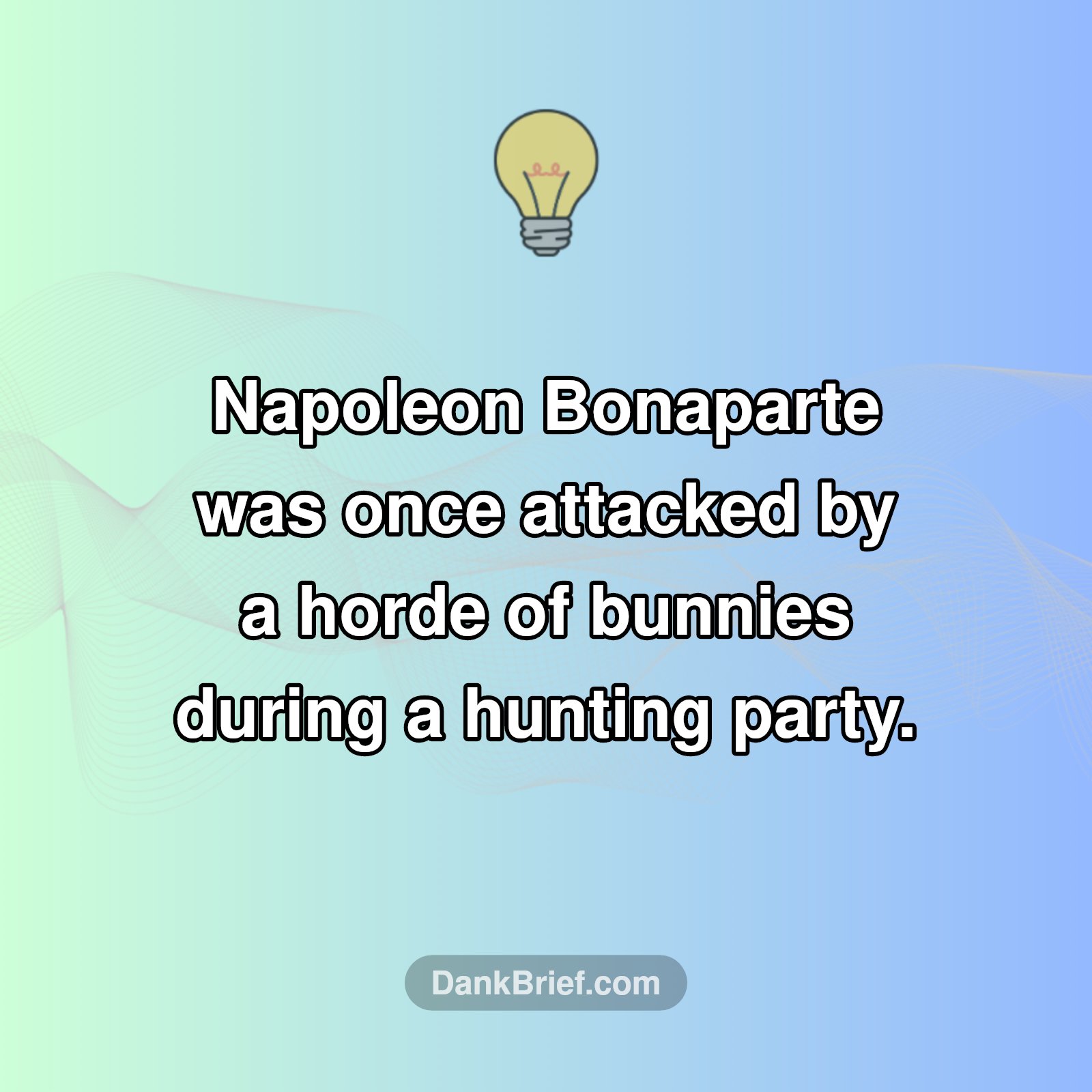 Napoleon's Bunny Battle!