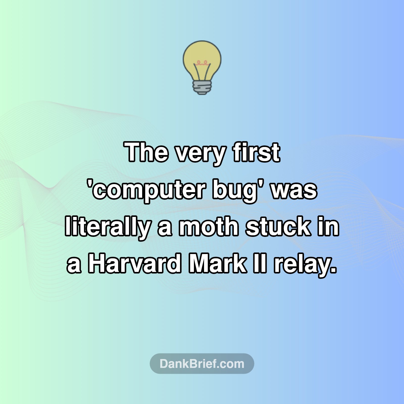 The OG Computer Bug!
