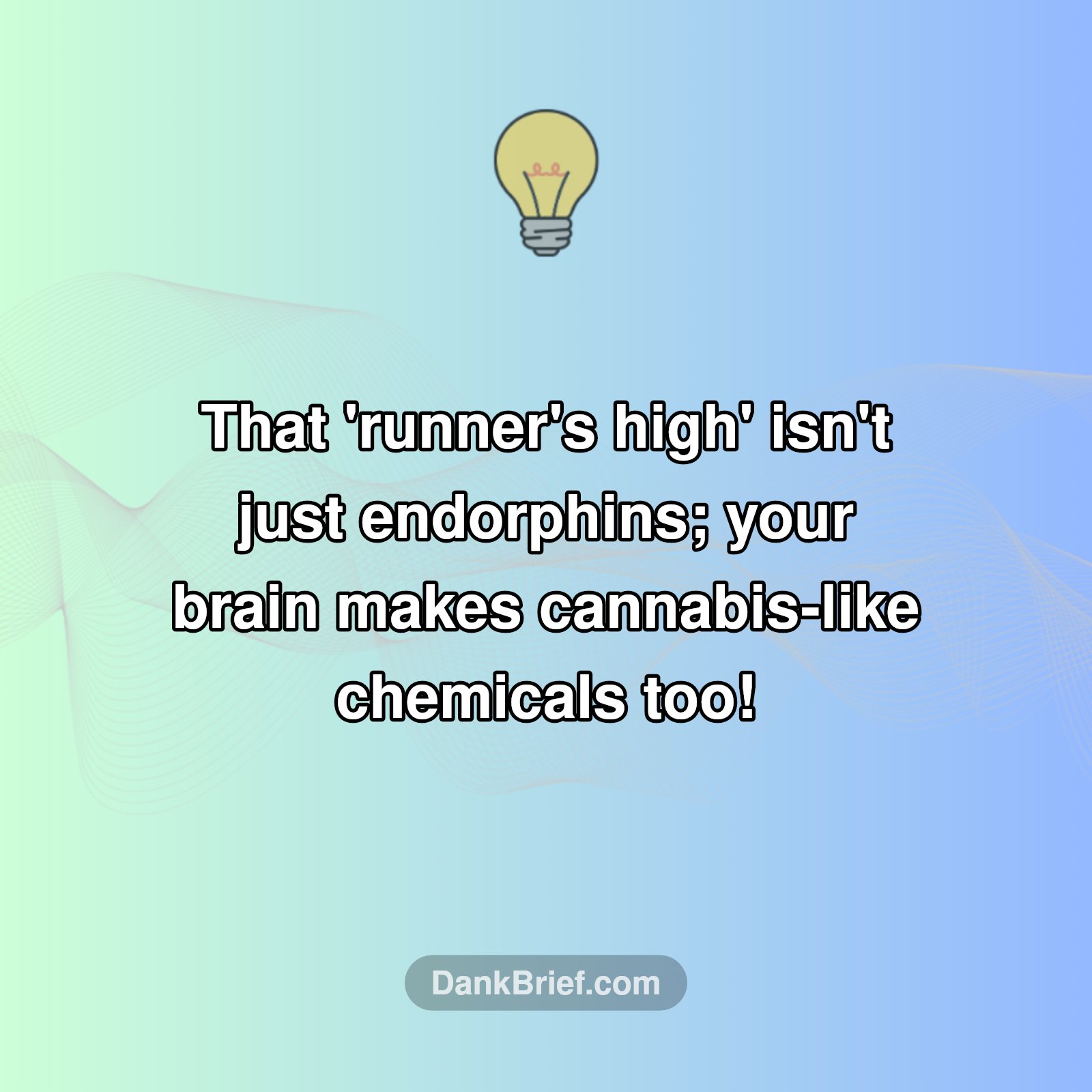 Natural High Alert: Gym Edition!