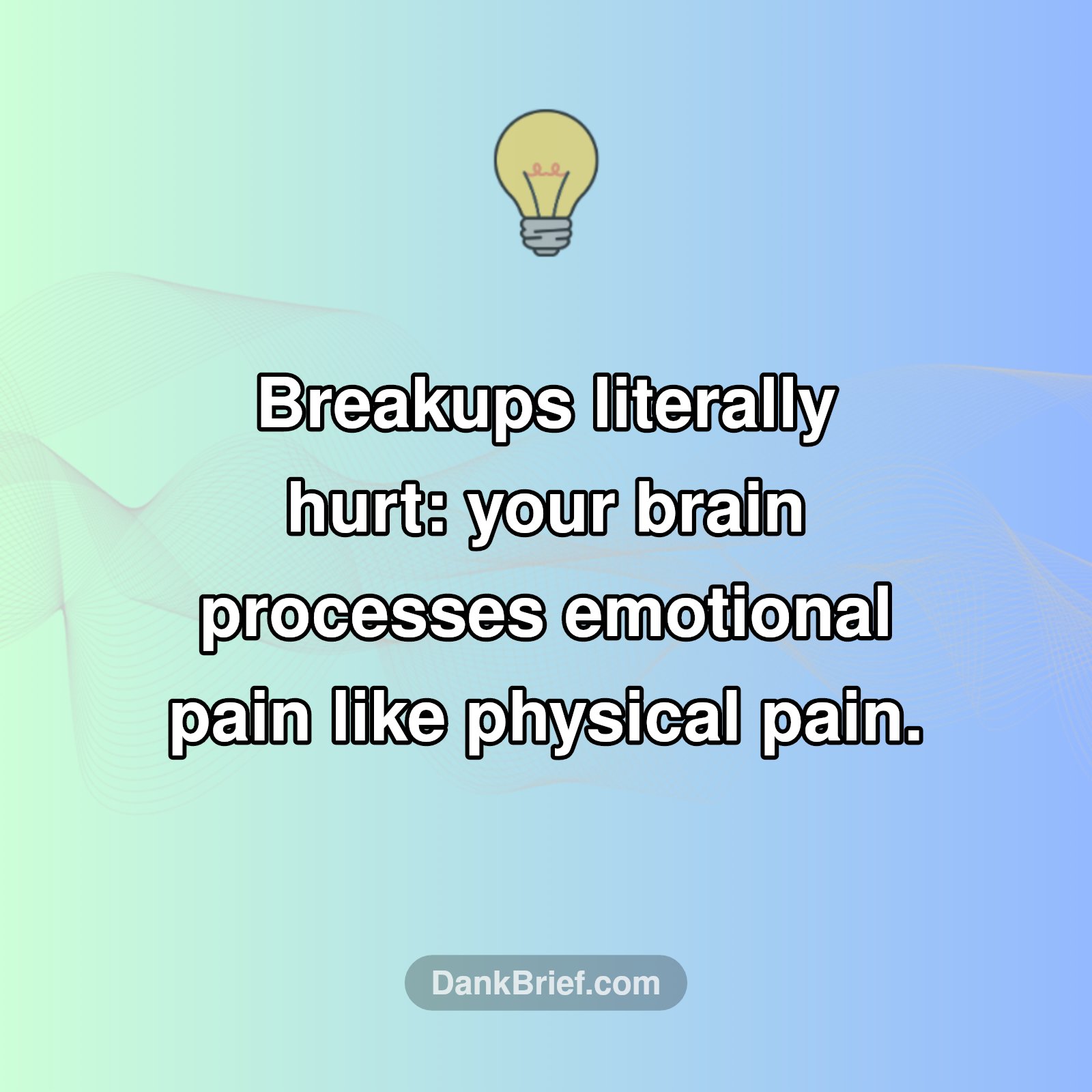 Your Brain on Breakups