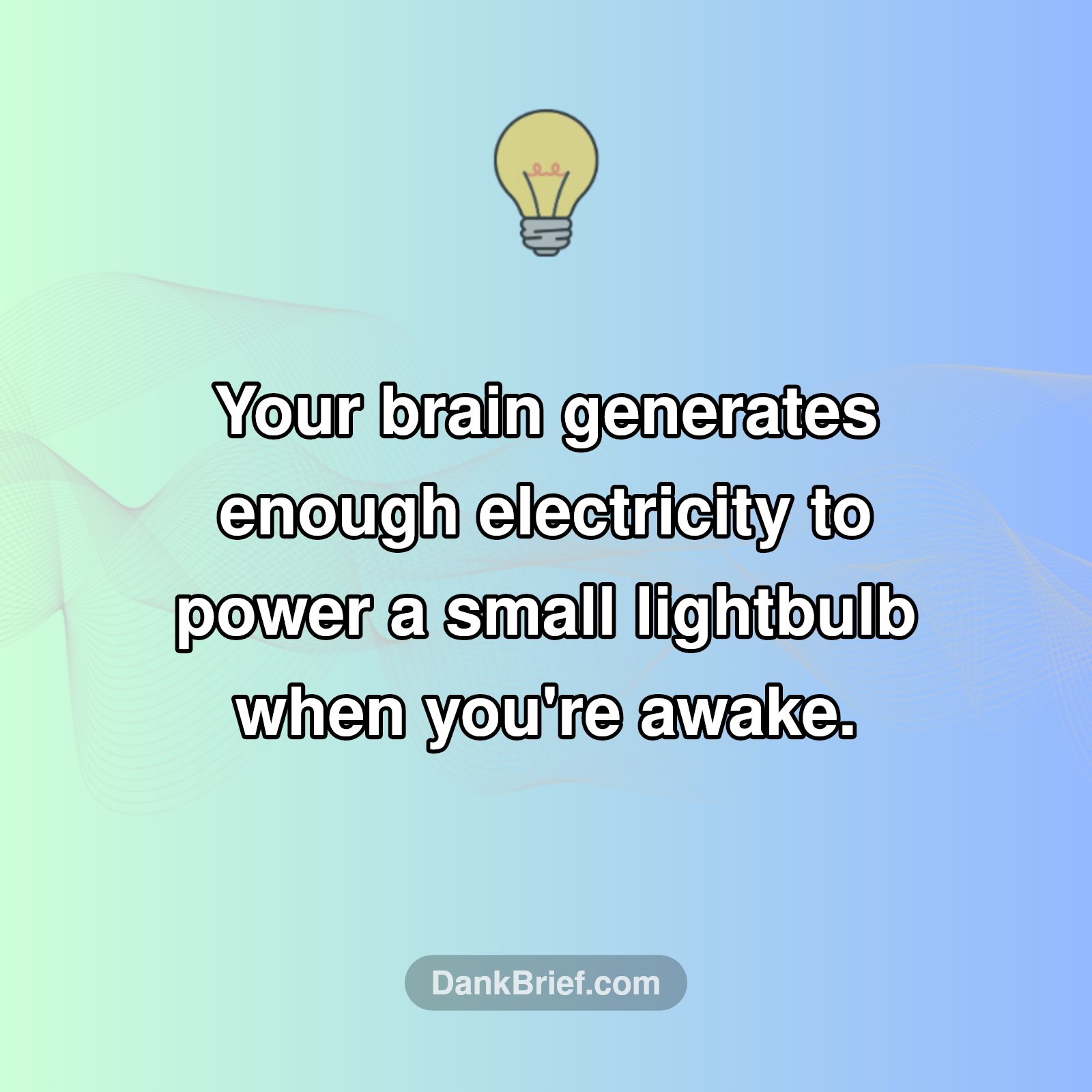 Your Brain's Secret Superpower!