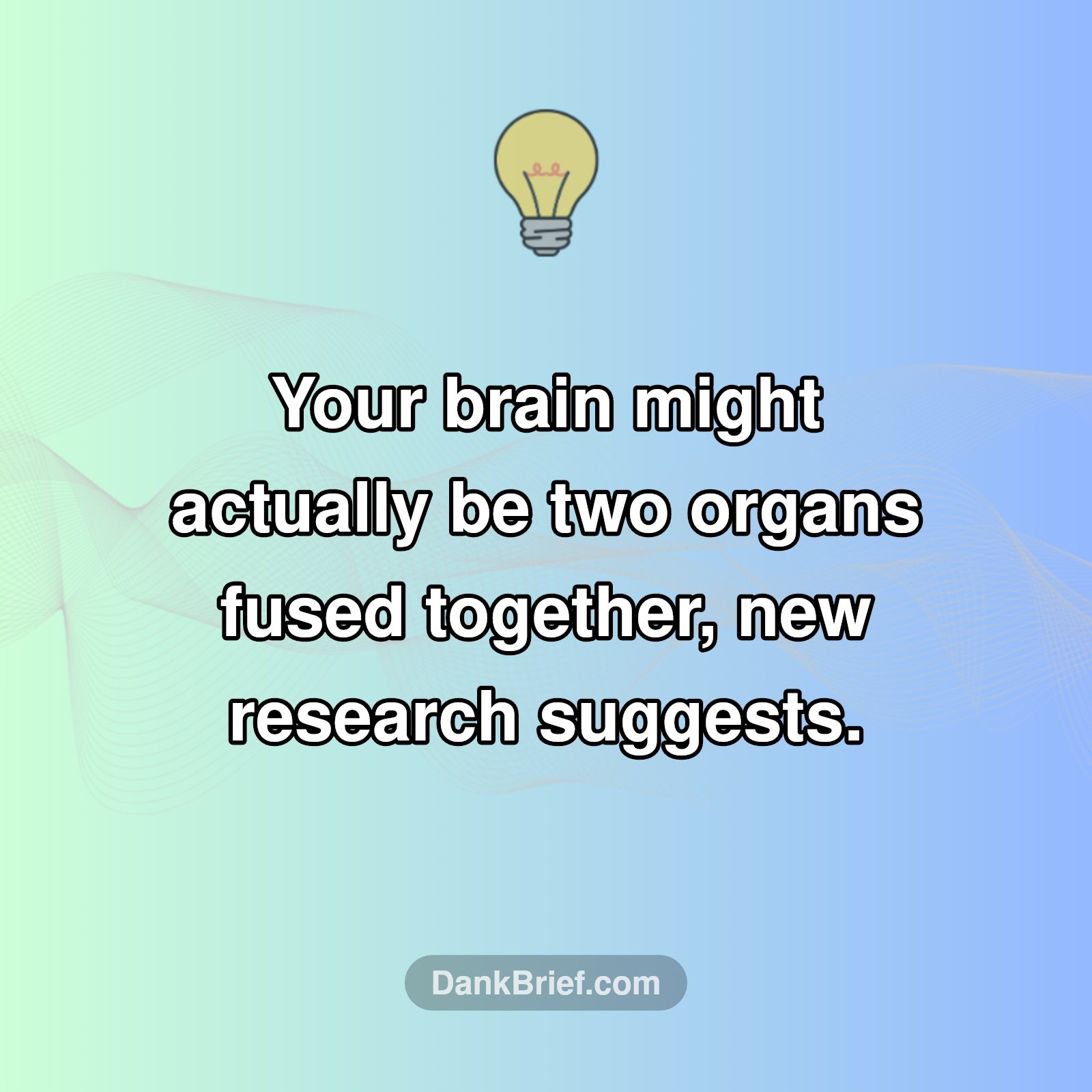 Mind-Blowing Brain News!