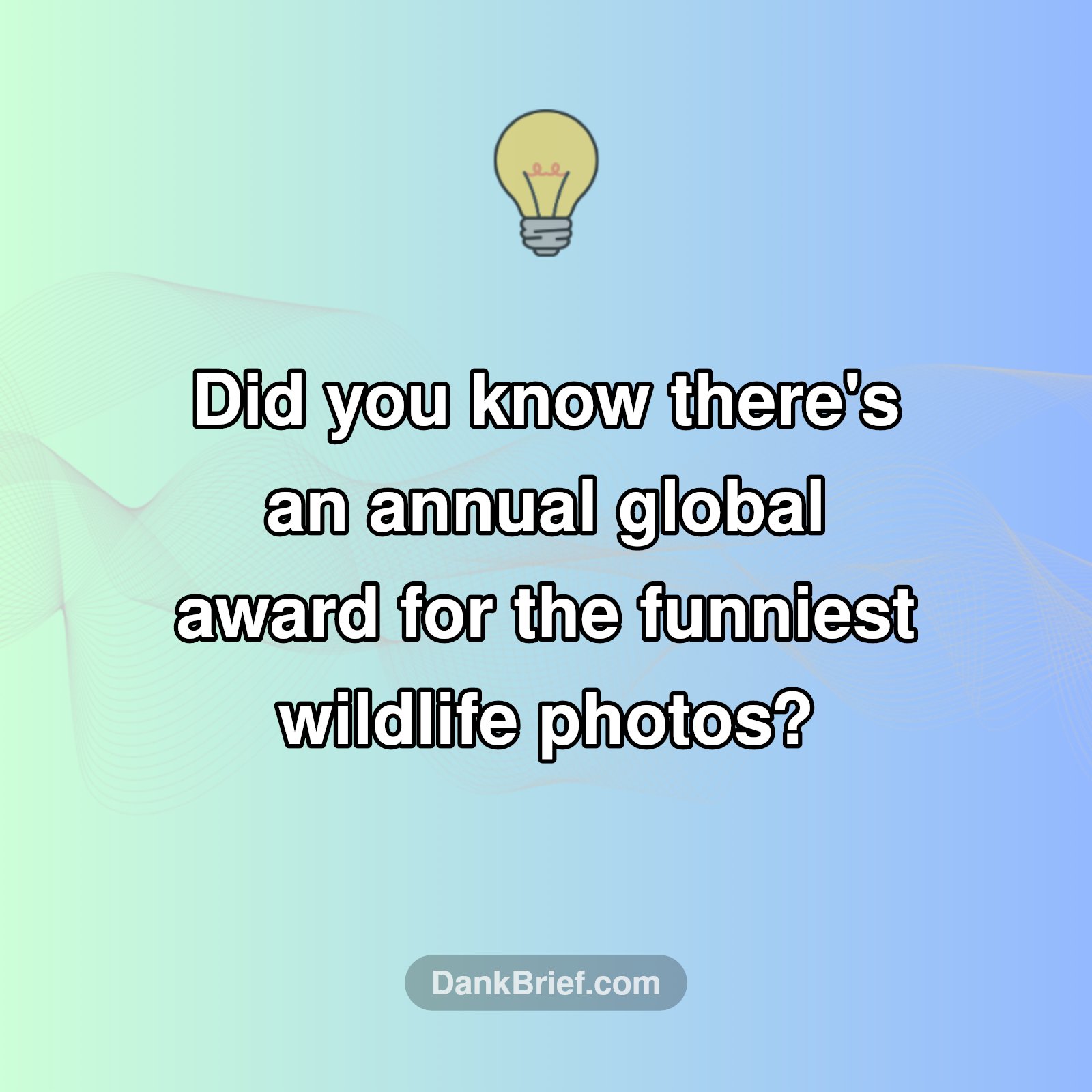 Laughing All The Way To Conservation