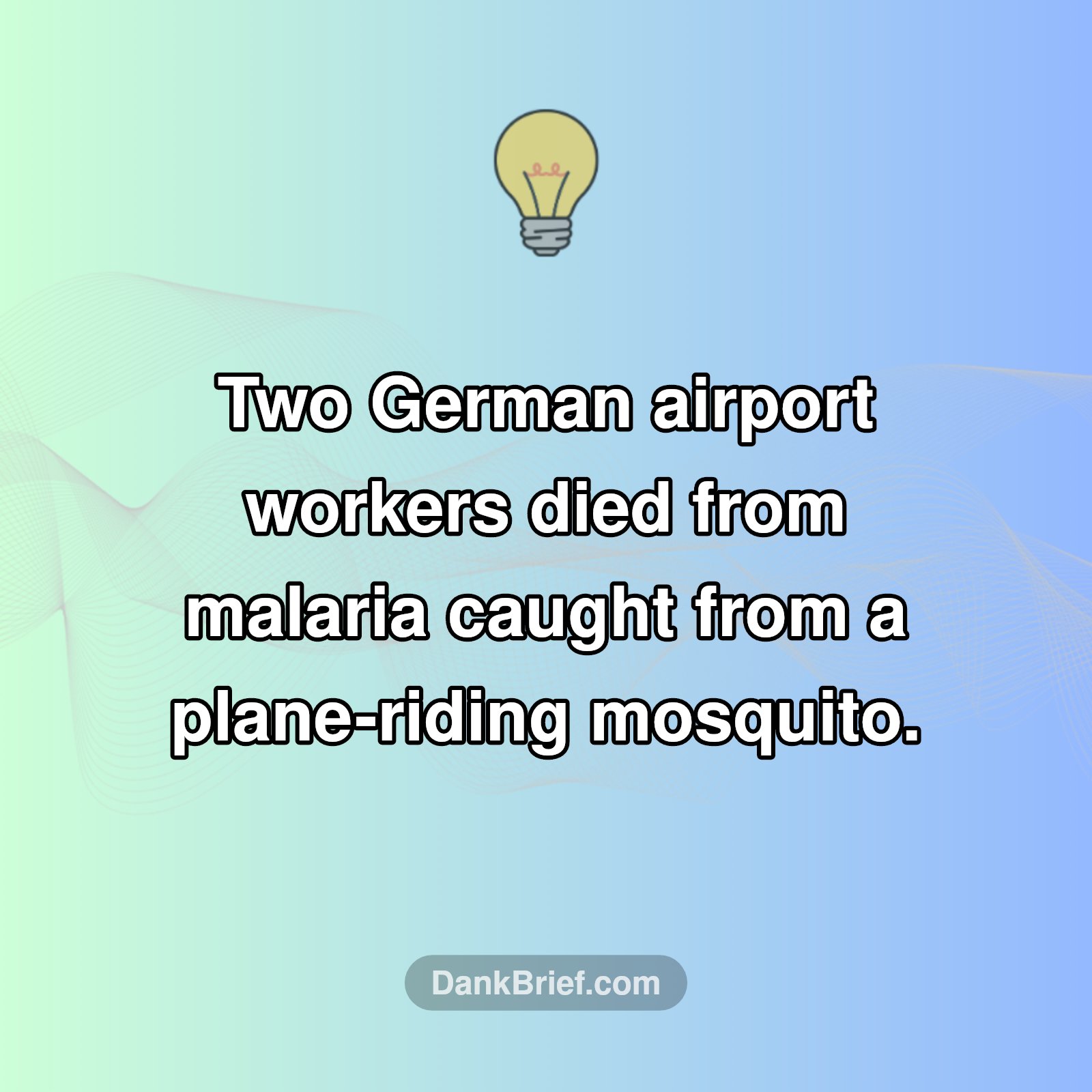 A Shocking Story From German Airports!