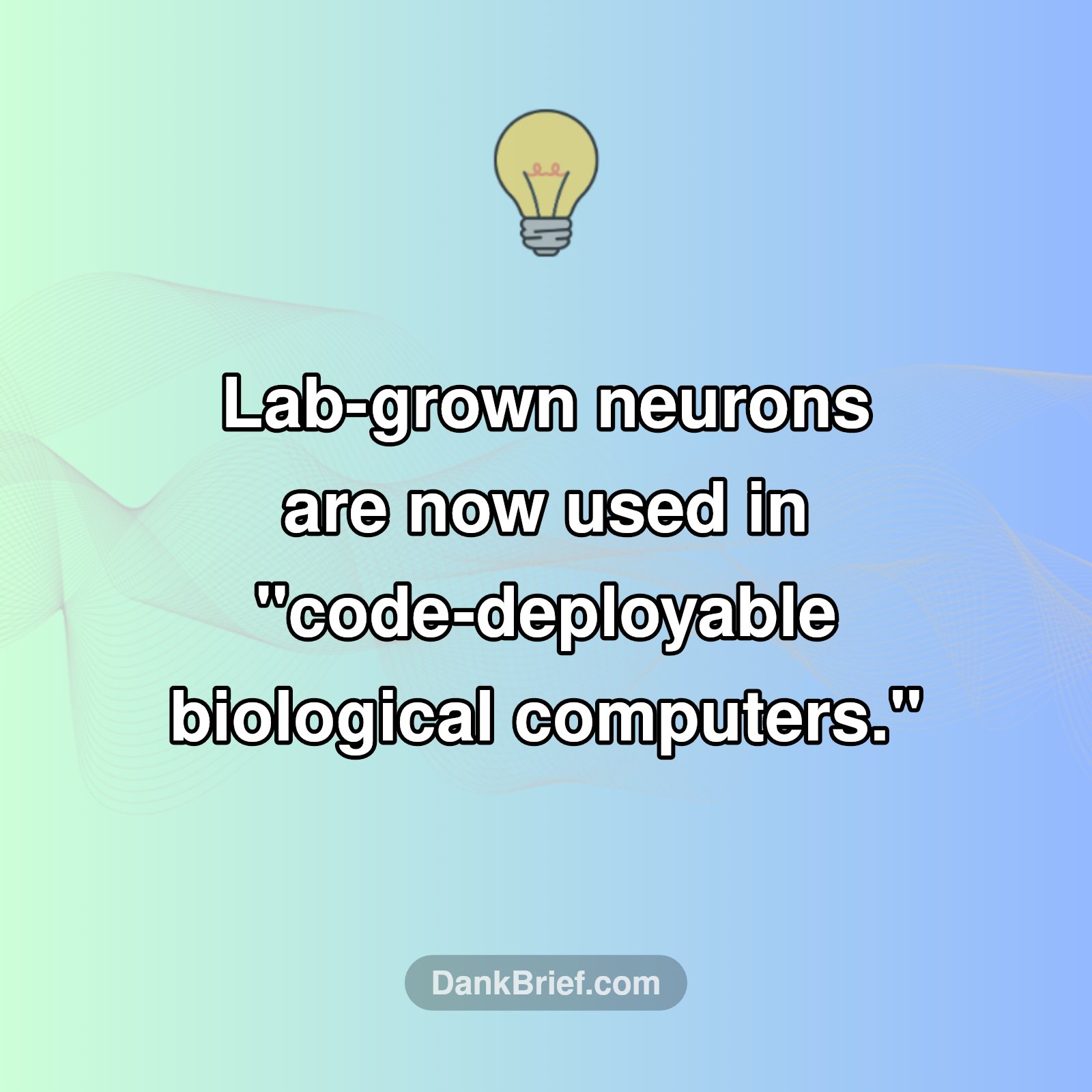 Neurons Powering Code