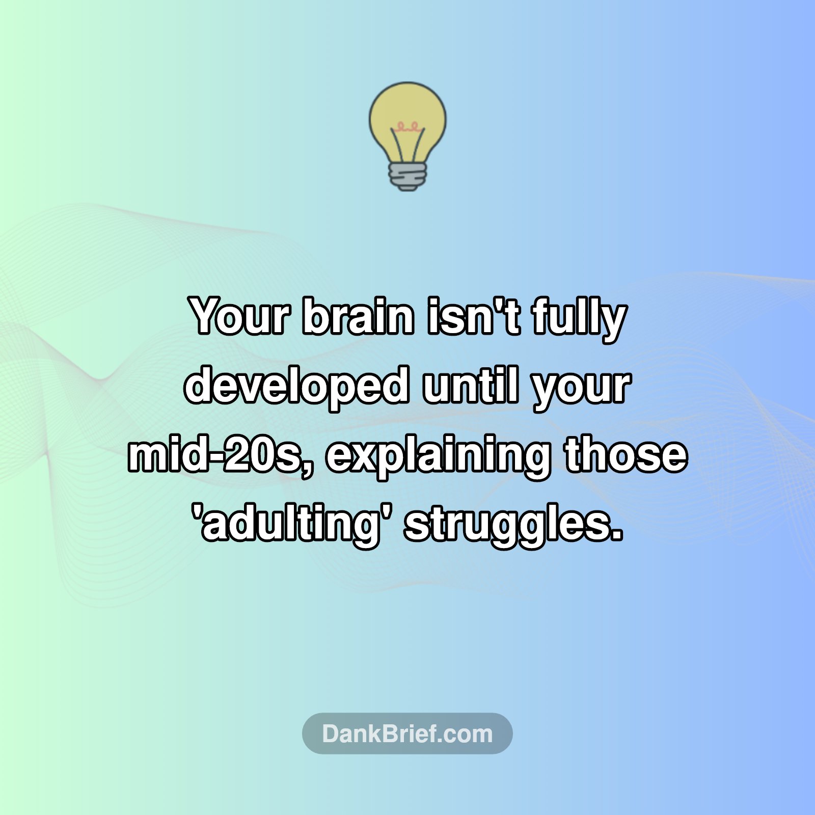 Your Brain Isn't 'Adult' Yet!