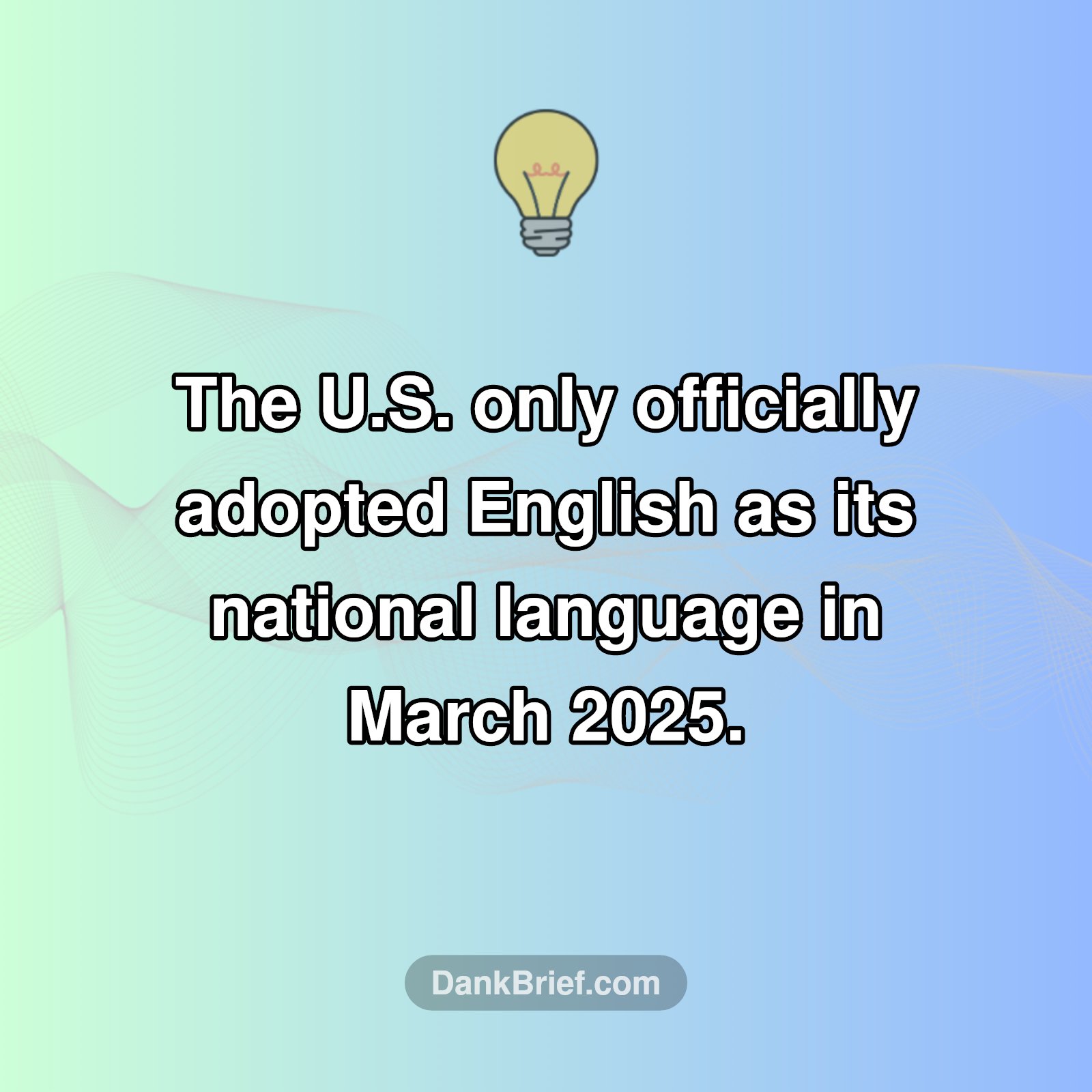 Wait, What?! US Official Language Shock