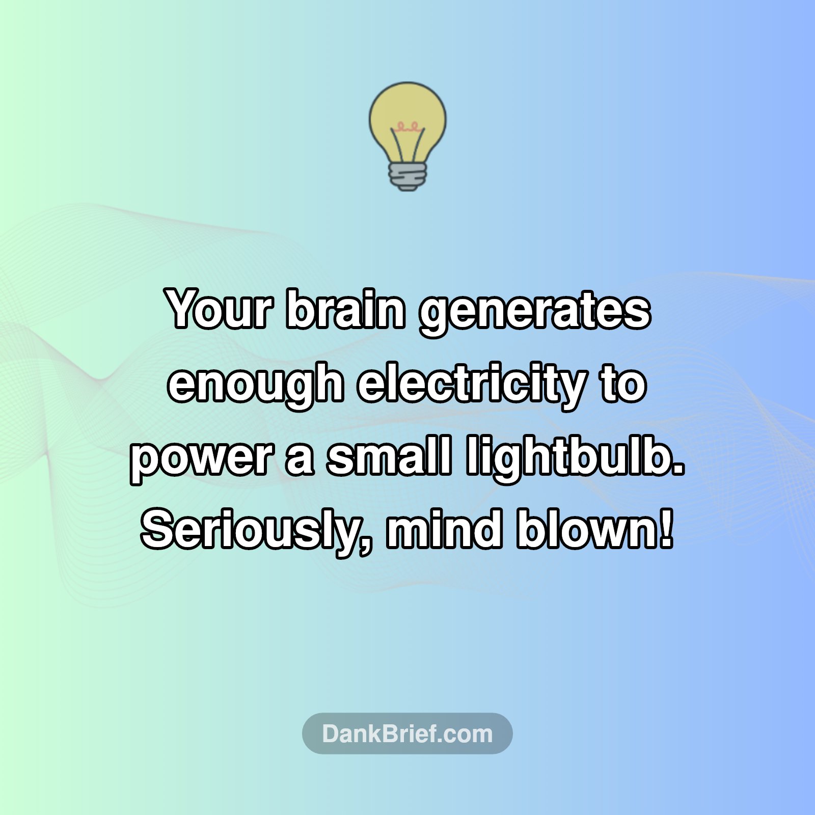 Your Brain: A Tiny Powerhouse!