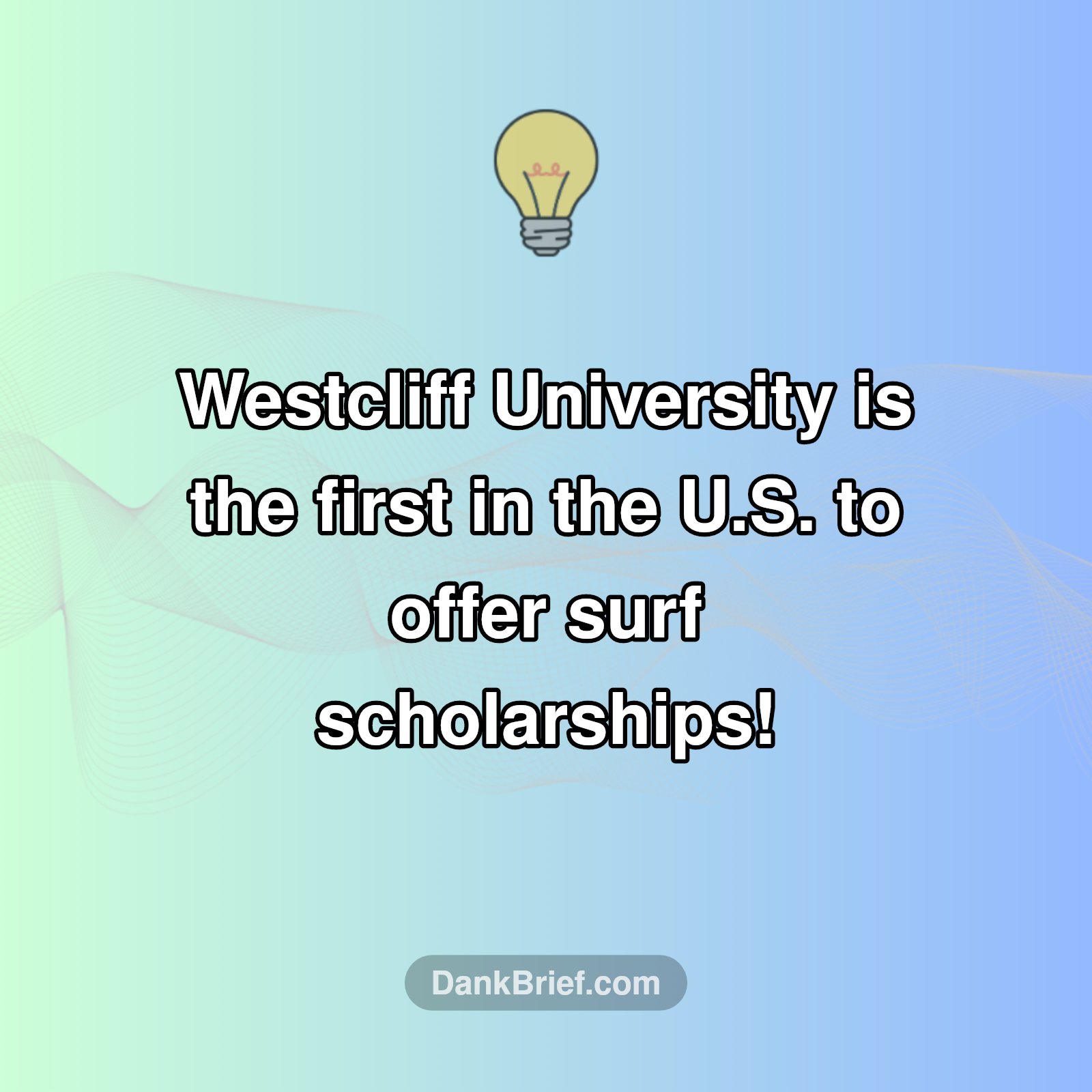 Ride the Academic Tide!