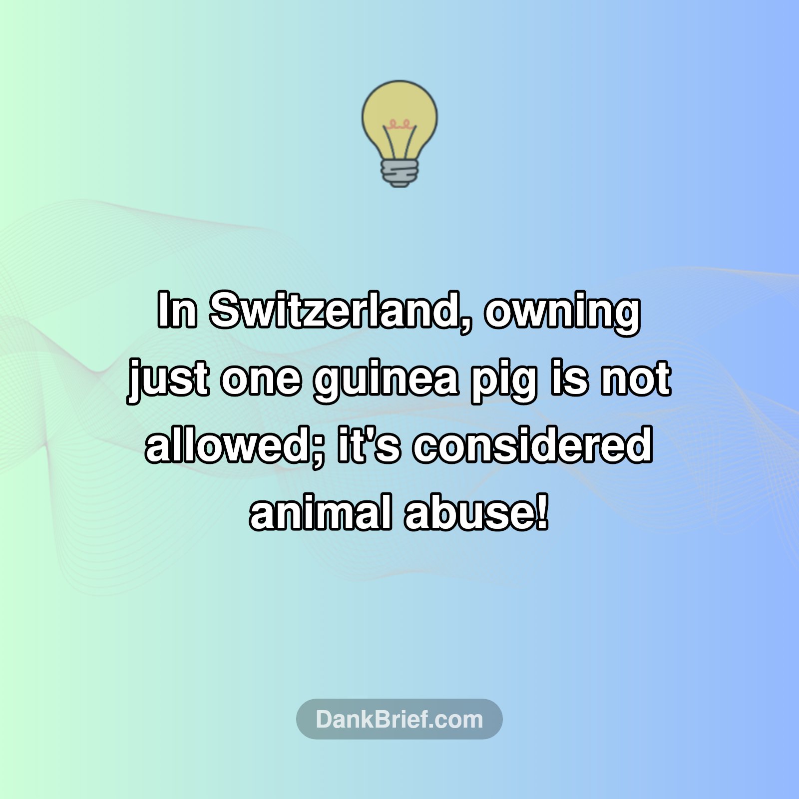 Switzerland's Wild Pet Law!