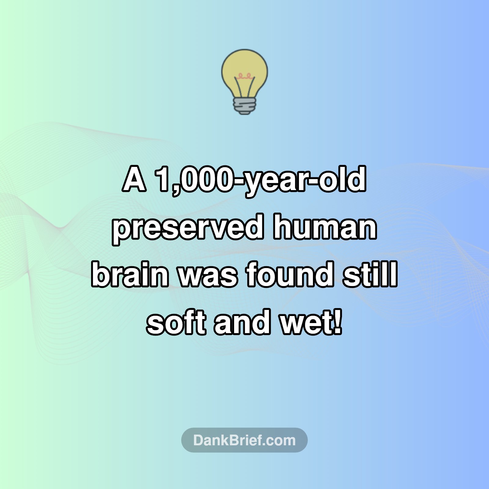 Mind-Blowing Ancient Discovery!