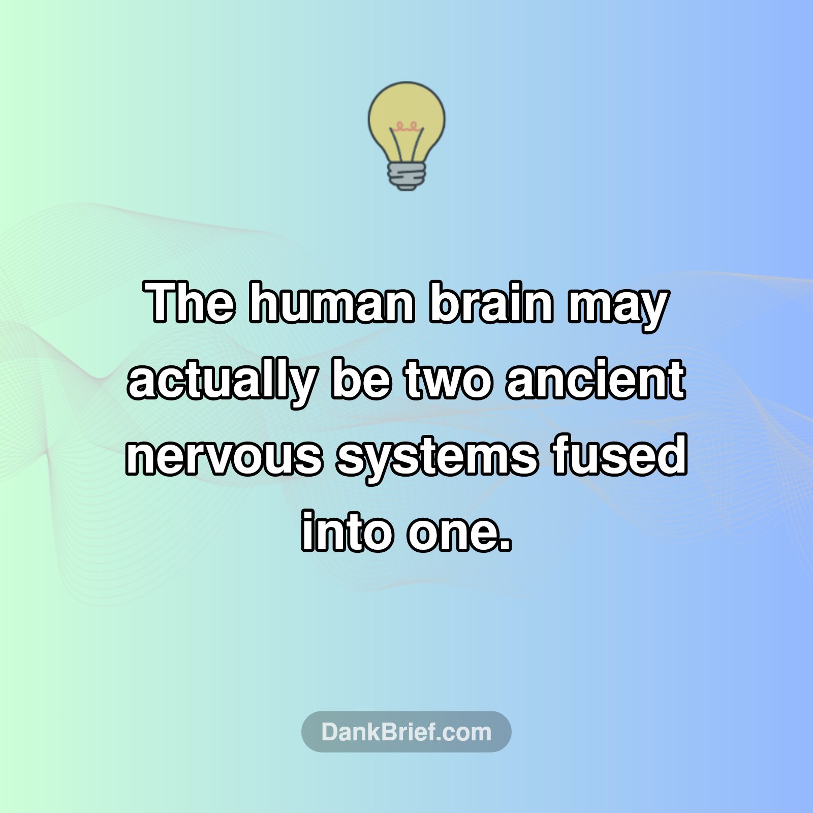 Your Brain: Two in One?