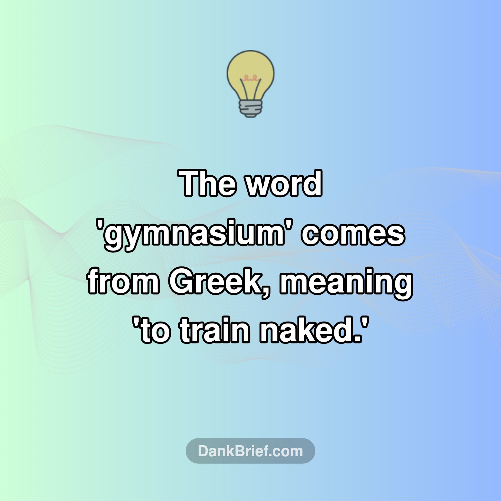 WTF Gym Fact?