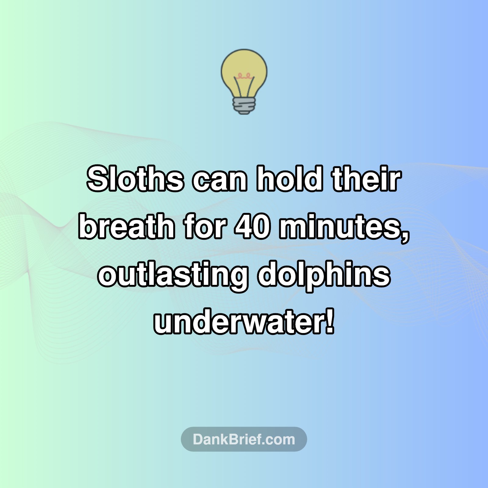 Wait, WHAT?! Sloths Beat Dolphins Underwater?!