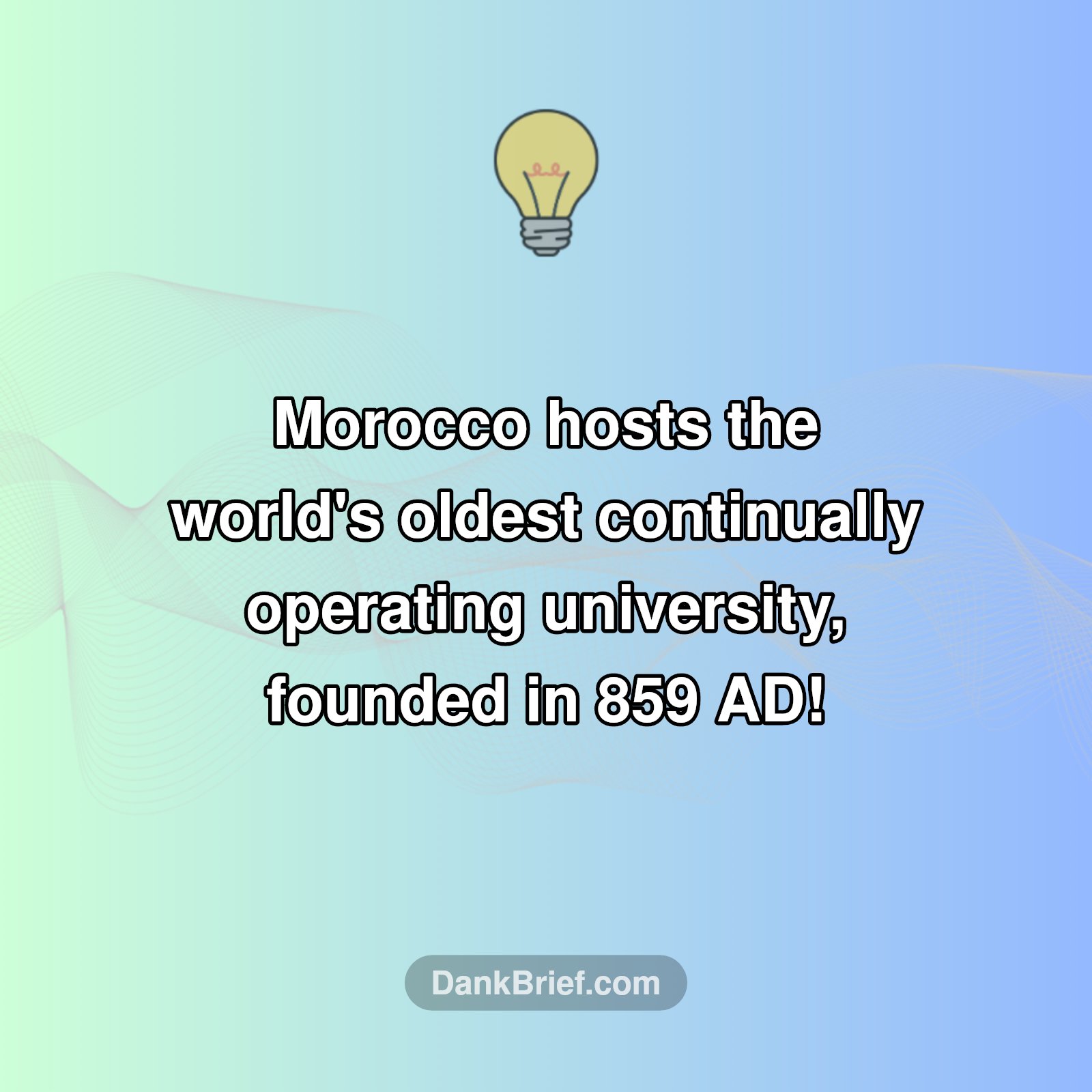 Mind Blown: Morocco's Ancient Learning!