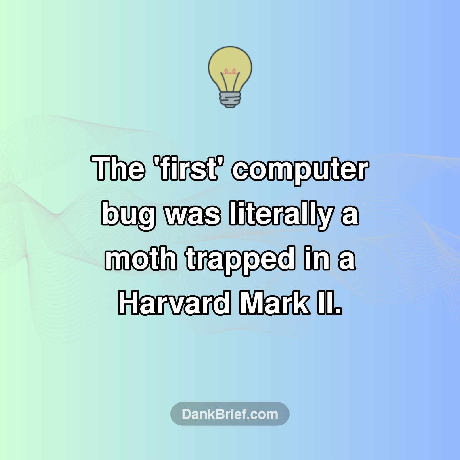 Bugged Out: The OG Computer Glitch