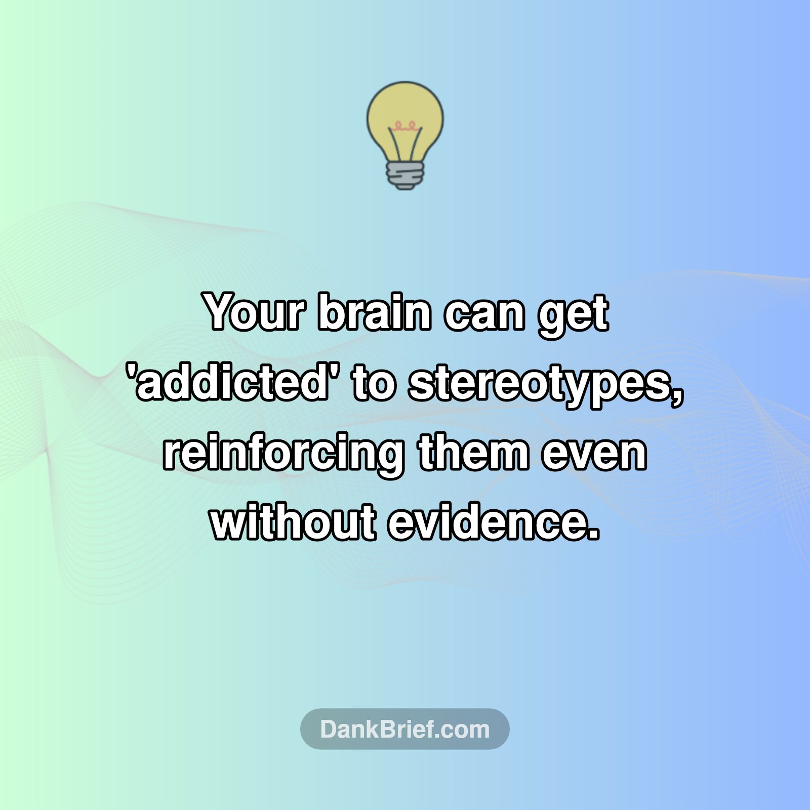Your Brain & Stereotypes: A Wild Connection