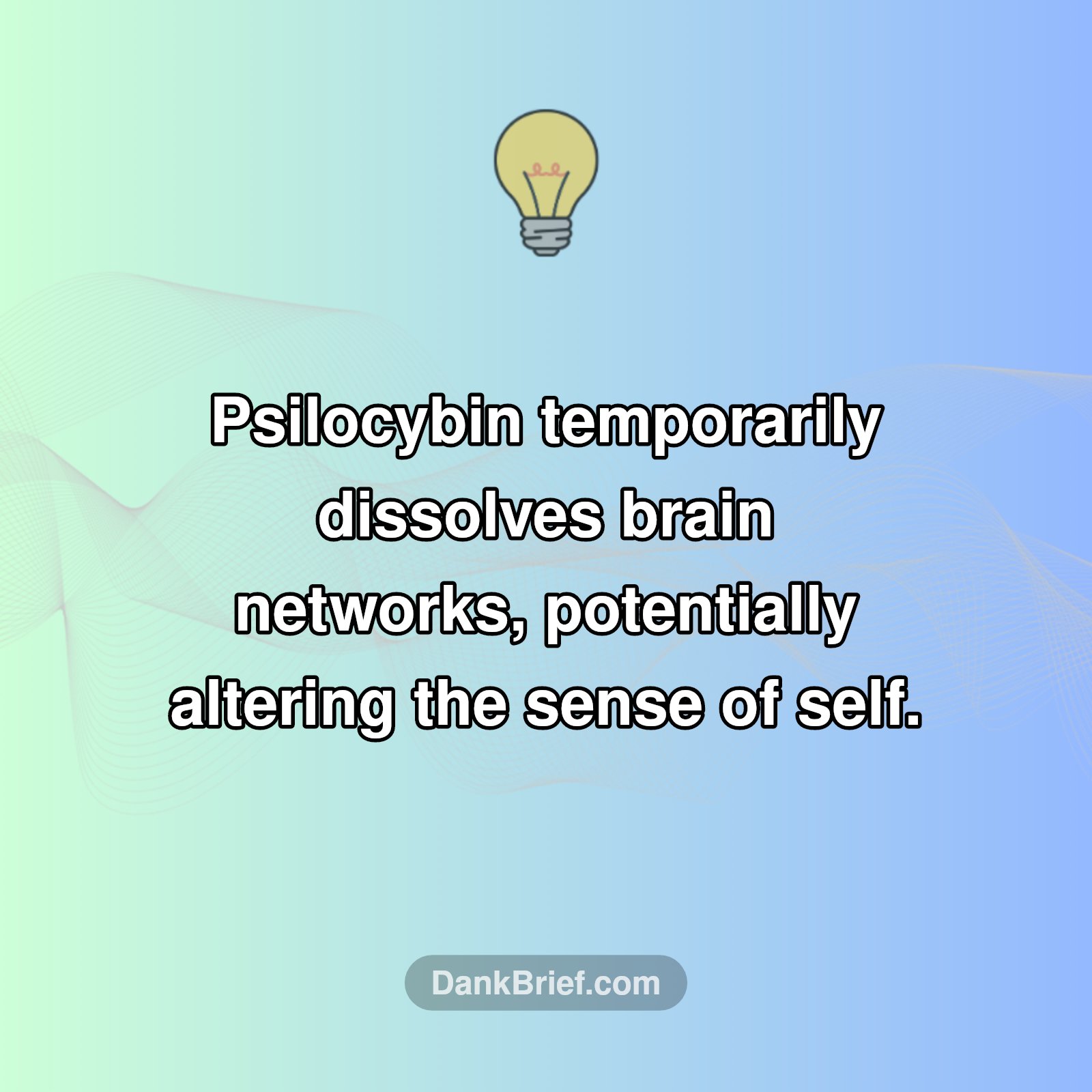 Mind-Bending Science of Psilocybin!