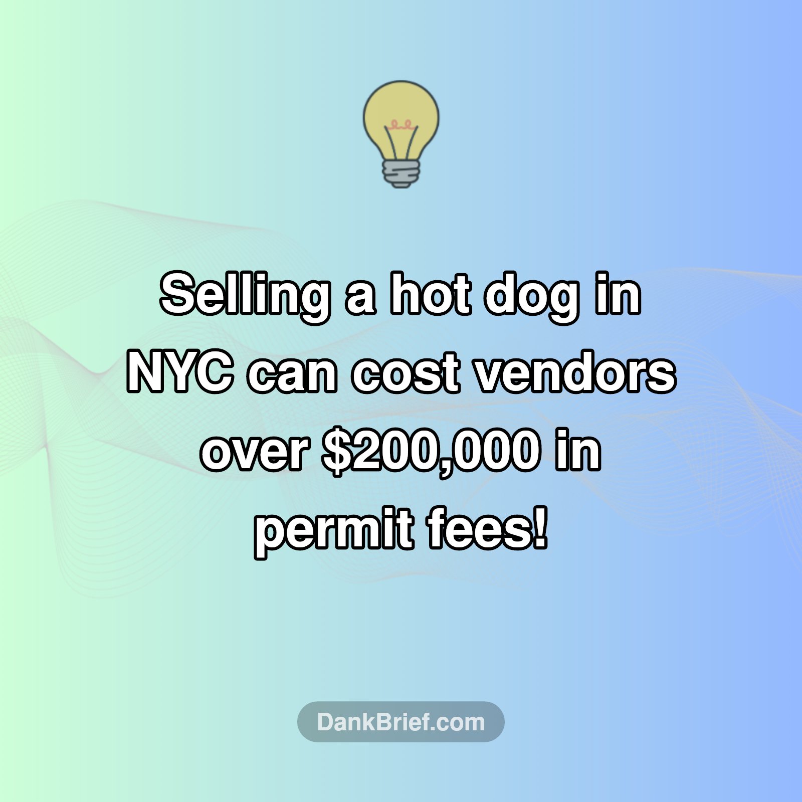 NYC Street Food: A Pricey Gig!