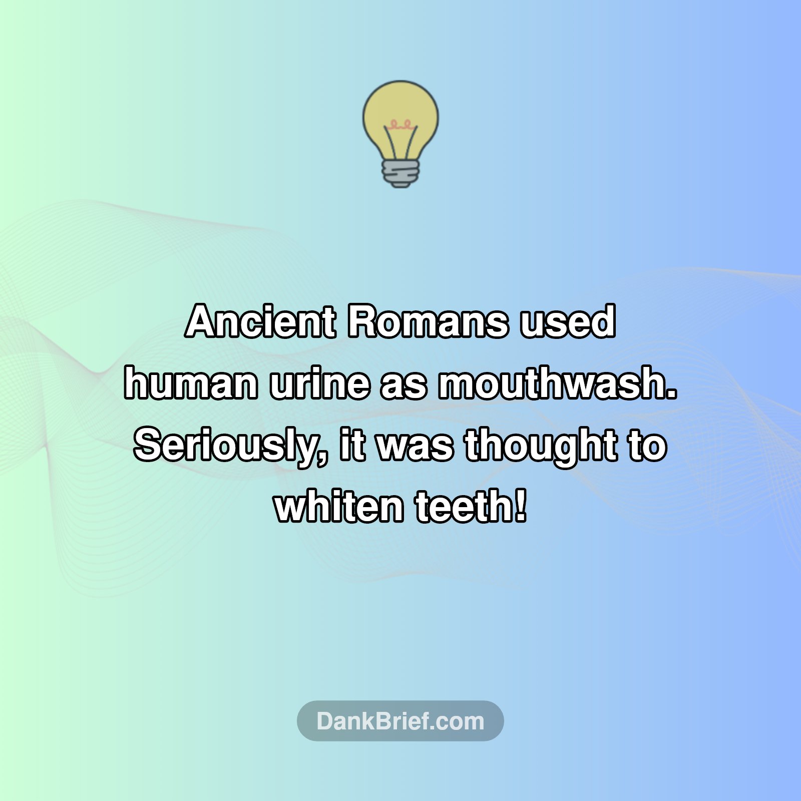 Ancient Dental Hygiene: Pee-rfect!