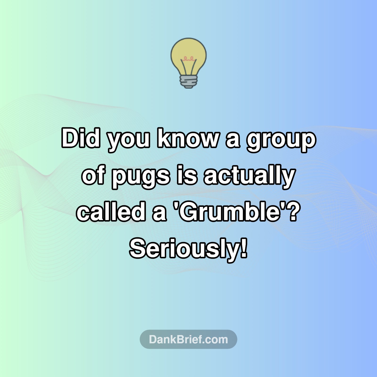Pug Squad Goals