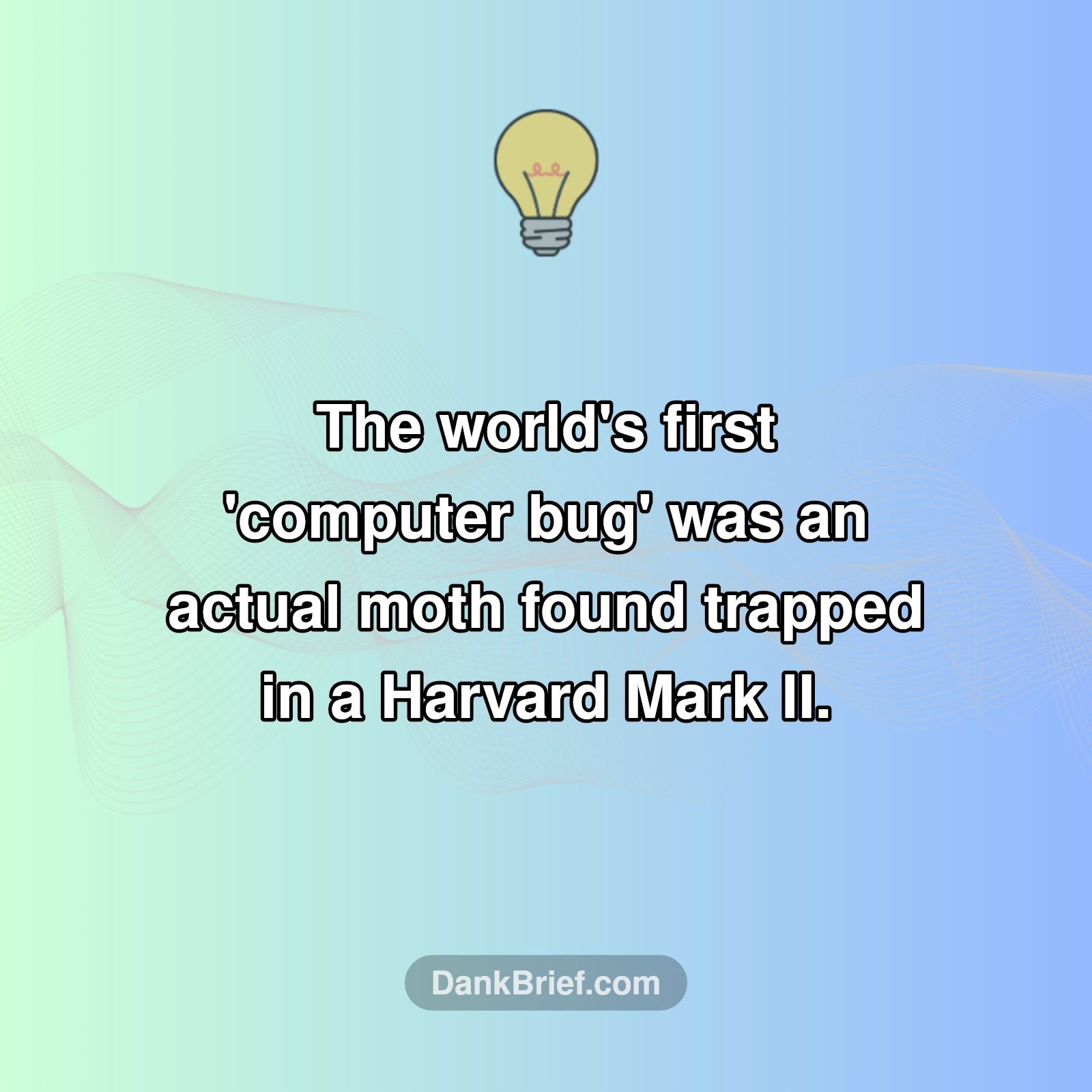 The Original 'Bug' Was Literal!