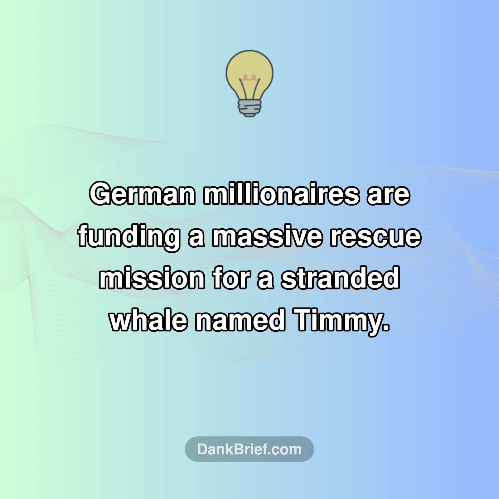 Germany's Millionaire Whale Rescue!