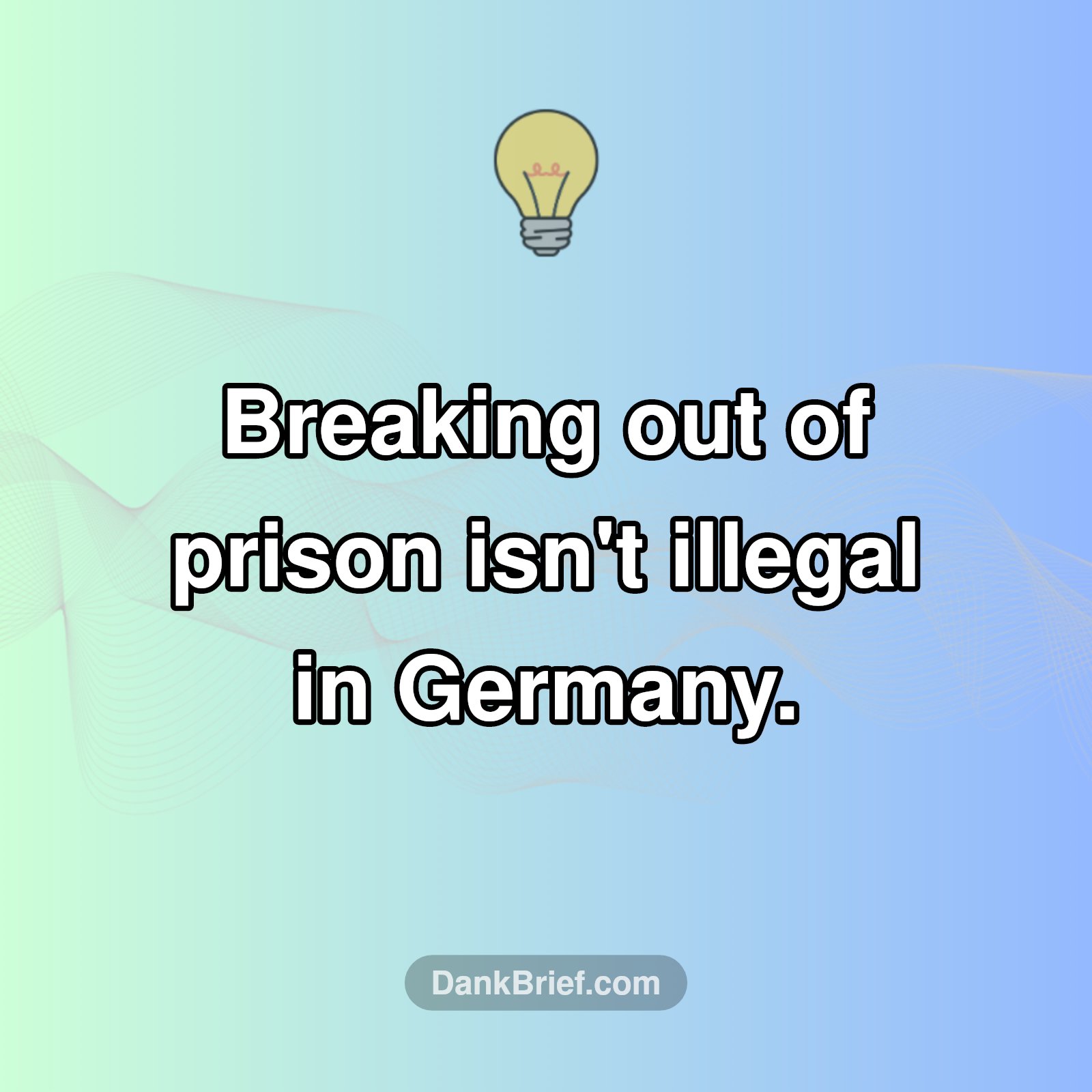 Freedom's Call: The Curious Case of German Prison Escapes