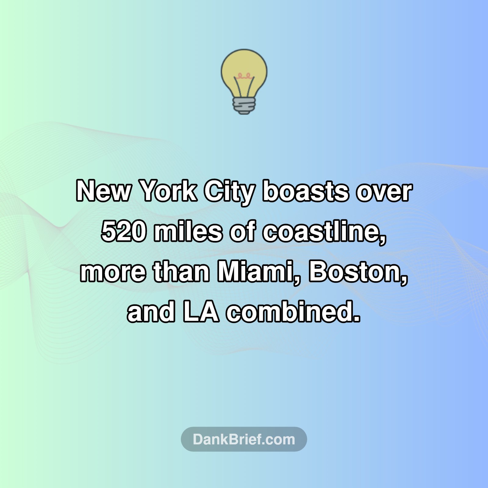 NYC's Secret Coastline!