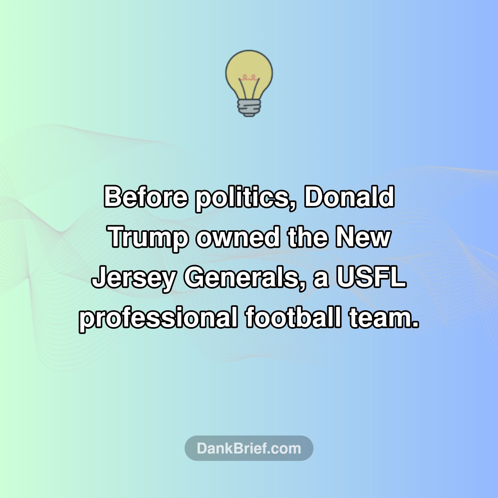 Gridiron Mogul: Trump's Pro Football Past